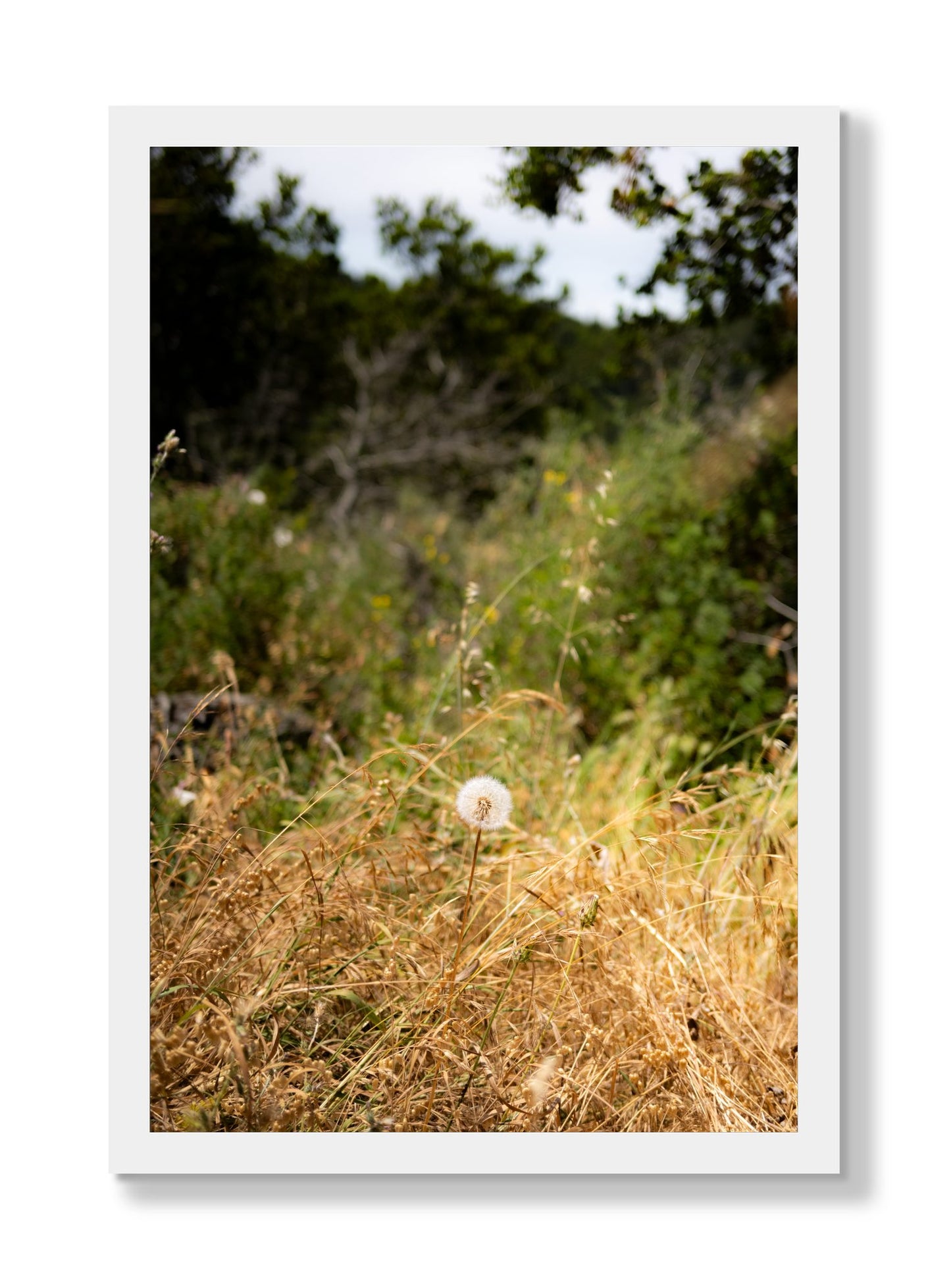 Framed photograph of Diamond In The Rough by Dylan Ozanich, White frame, Full Bleed