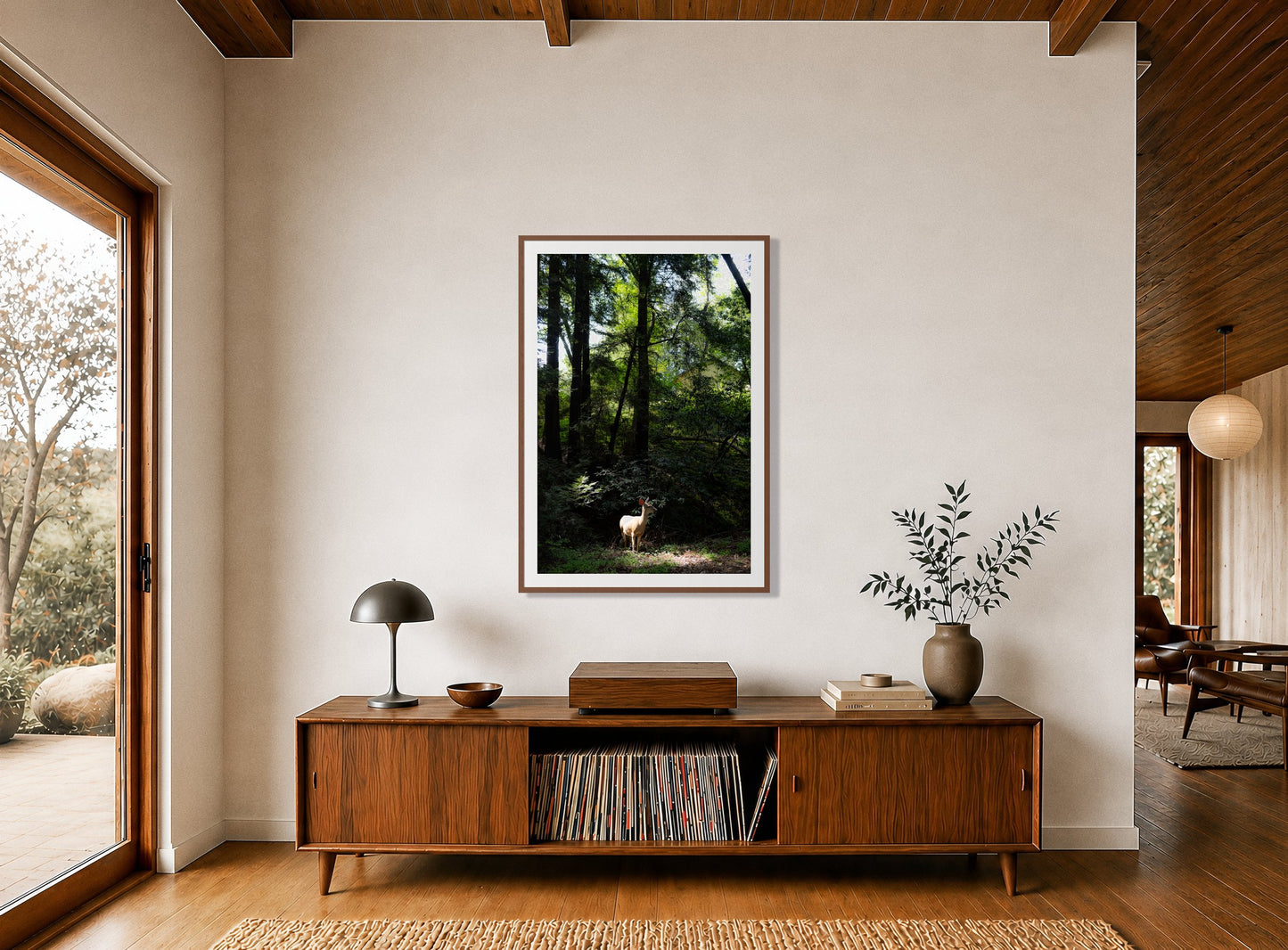 Framed photograph of Doe by Dylan Ozanich displayed on a wall