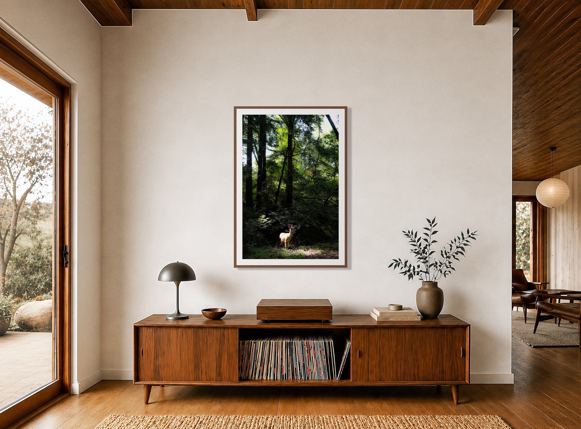 Framed photograph of Doe by Dylan Ozanich displayed on a wall