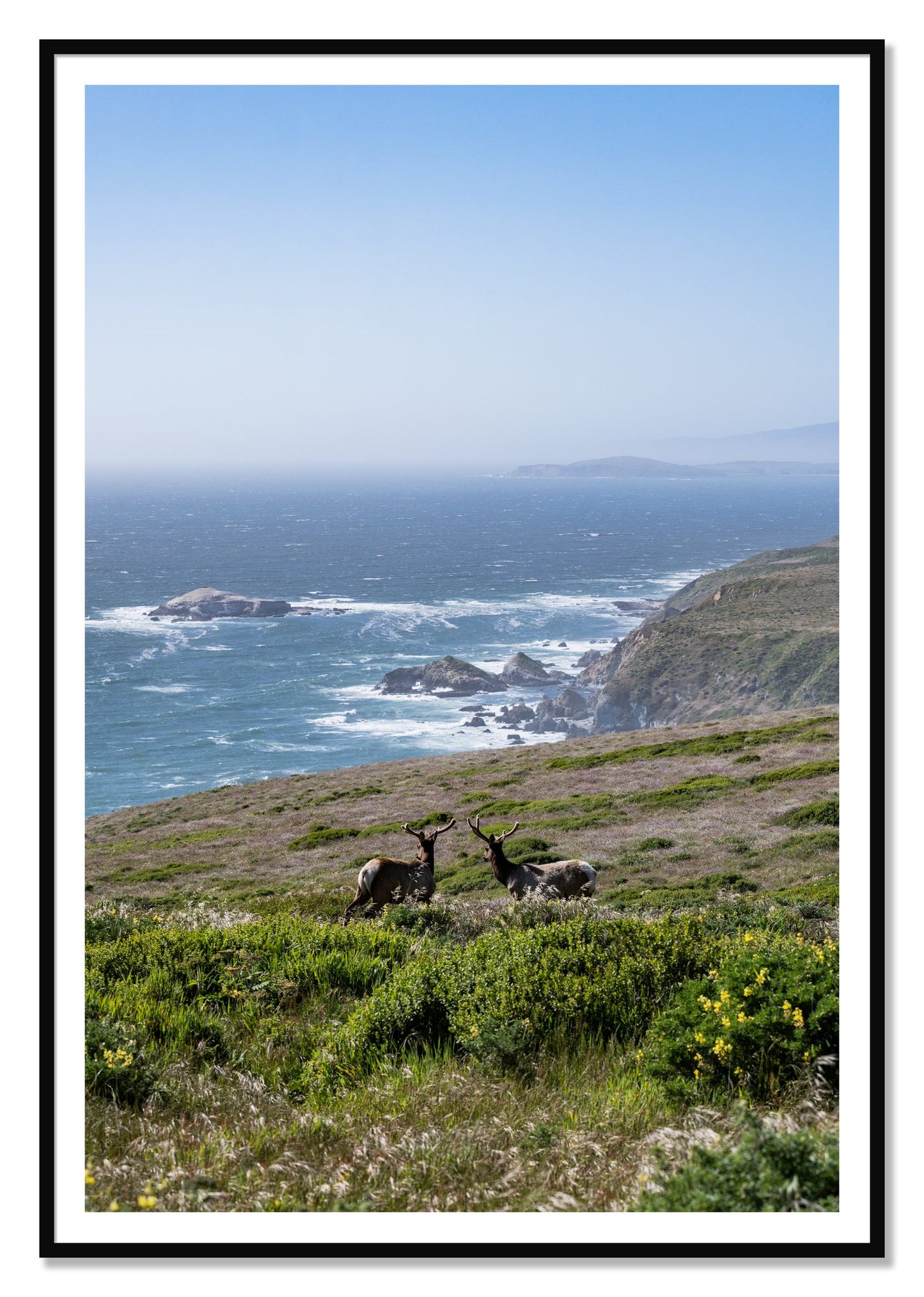 Elk On The Bluff by Dylan Ozanich, 48×72 print with a White Border in a Black frame