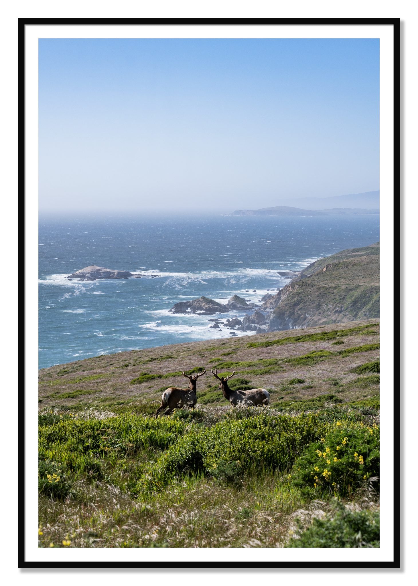 Elk On The Bluff by Dylan Ozanich, 48×72 print with a White Border in a Black frame