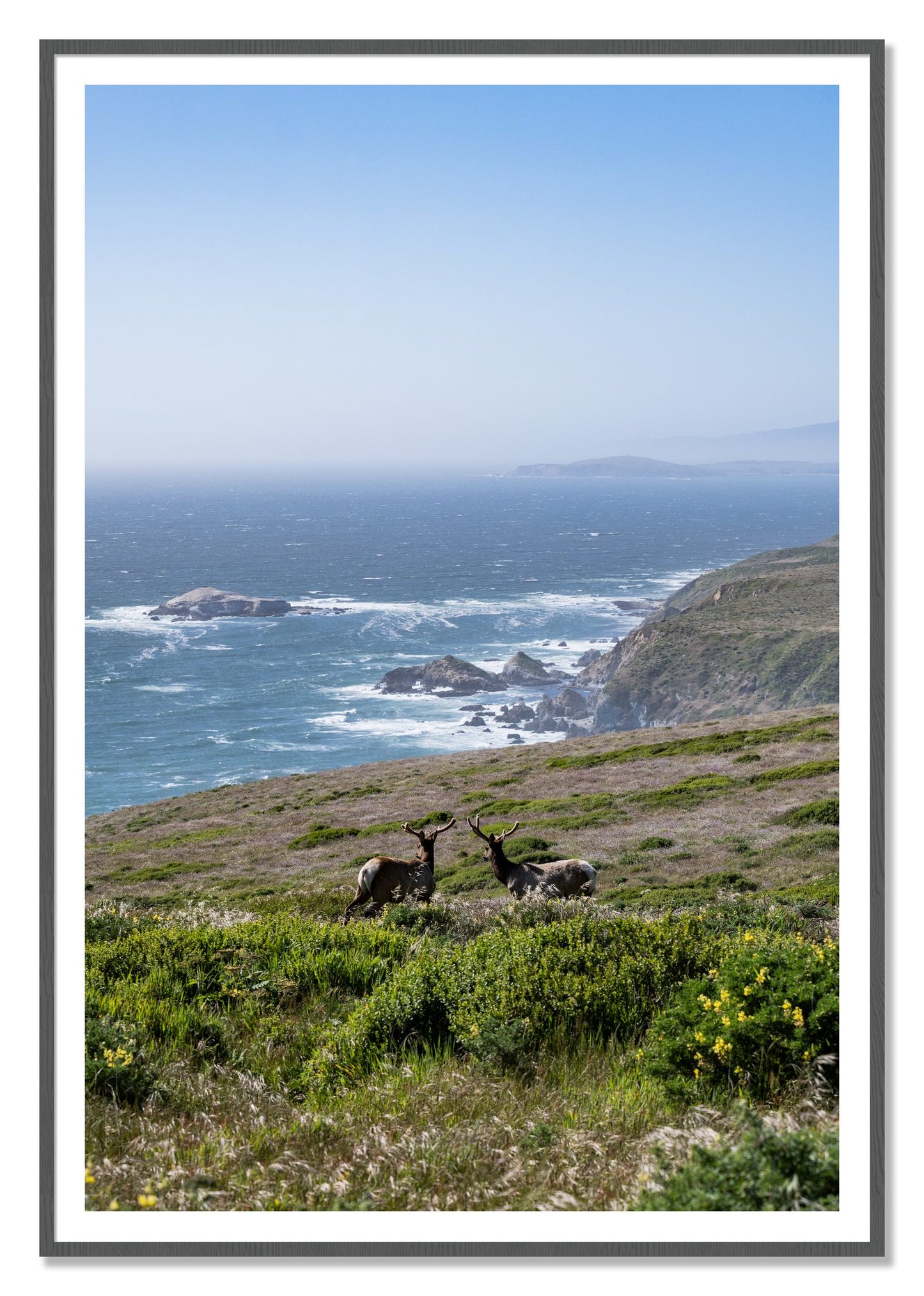 Elk On The Bluff by Dylan Ozanich, 48×72 print with a White Border in a Grey frame