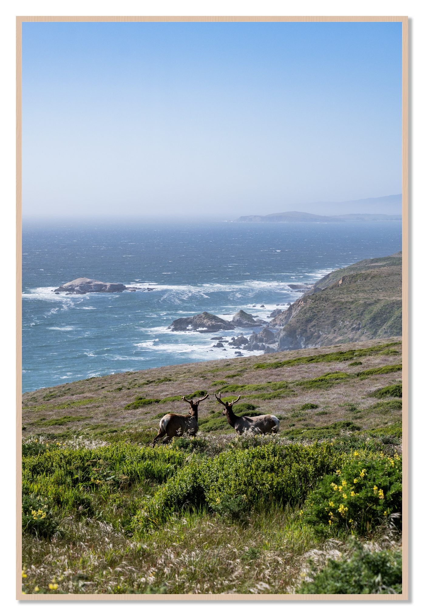 Elk On The Bluff by Dylan Ozanich, 48×72 Full Bleed Print in a Maple frame