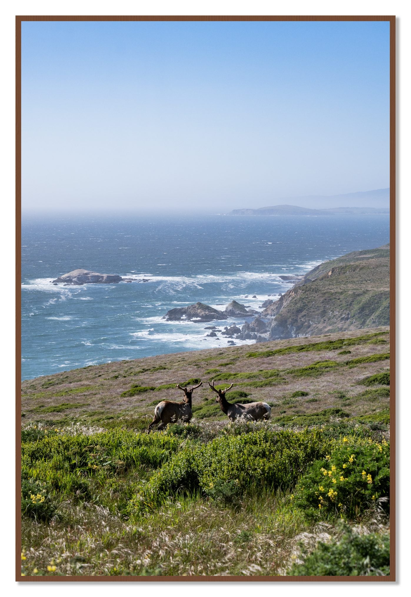 Elk On The Bluff by Dylan Ozanich, 48×72 Full Bleed Print in a Walnut frame