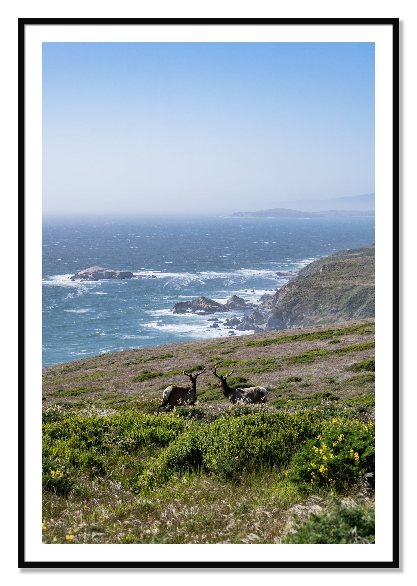 Framed photograph of Elk On The Bluff by Dylan Ozanich, Black frame, Borders