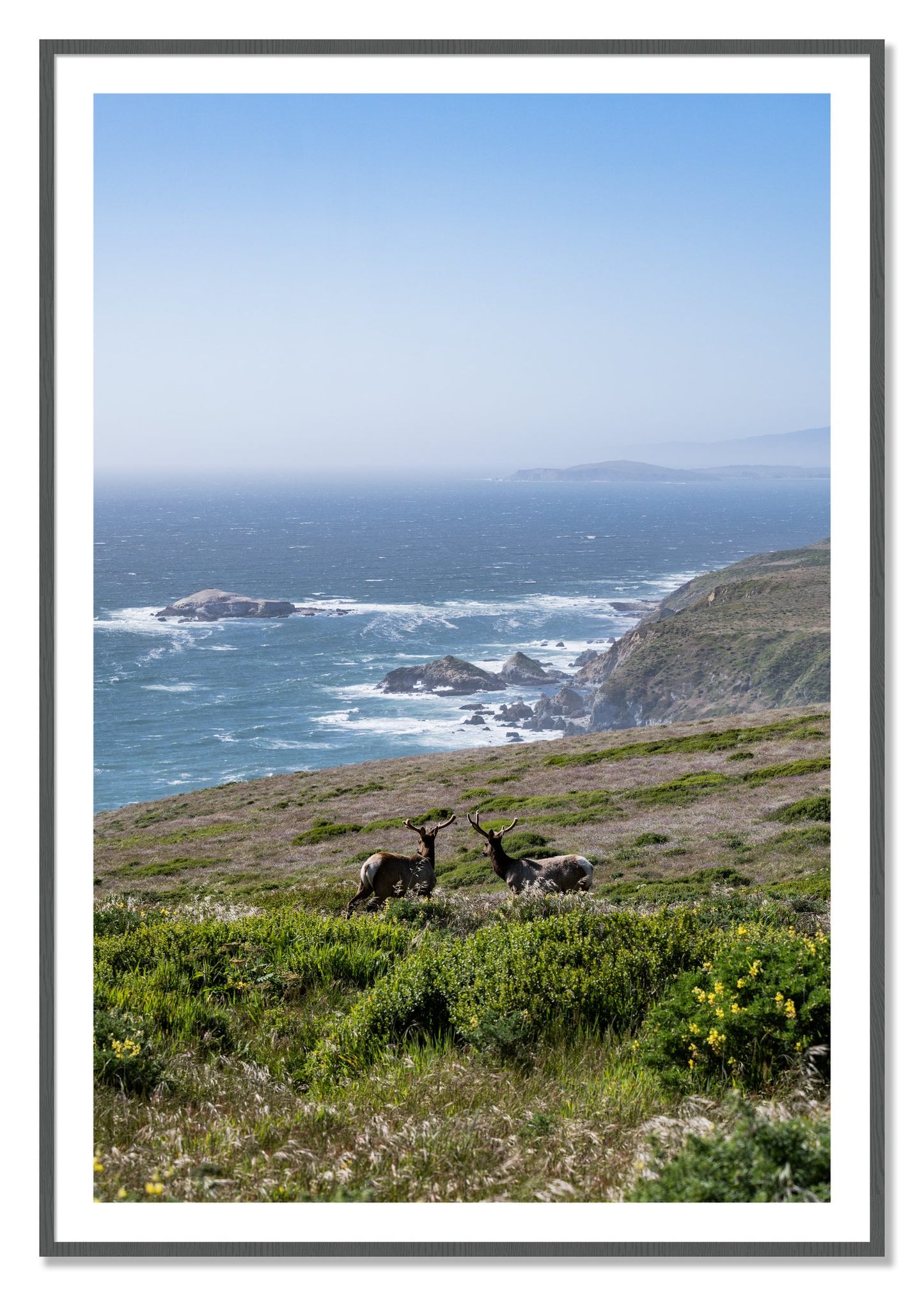 Framed photograph of Elk On The Bluff by Dylan Ozanich, Grey frame, Borders