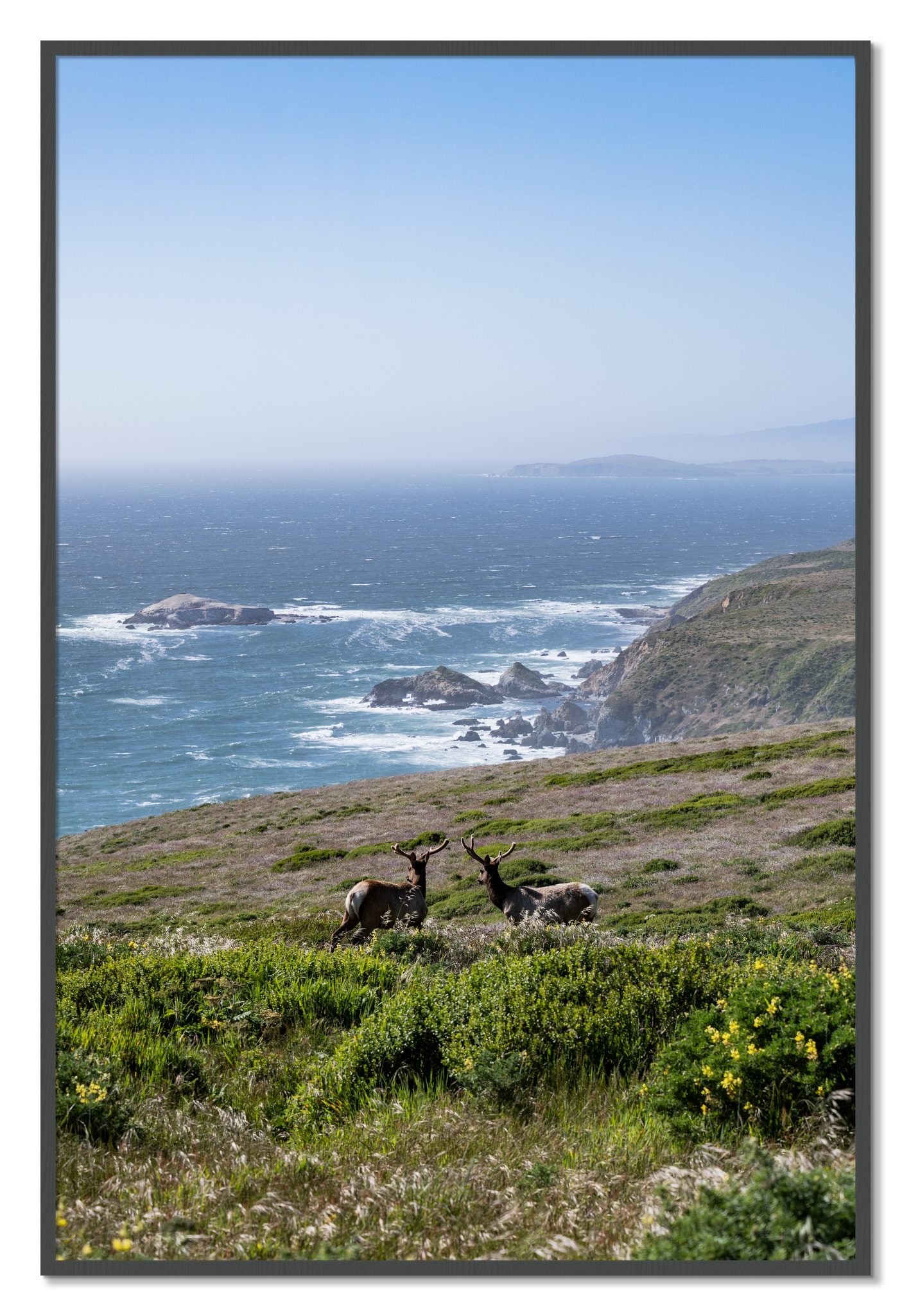 Framed photograph of Elk On The Bluff by Dylan Ozanich, Grey frame, Full Bleed