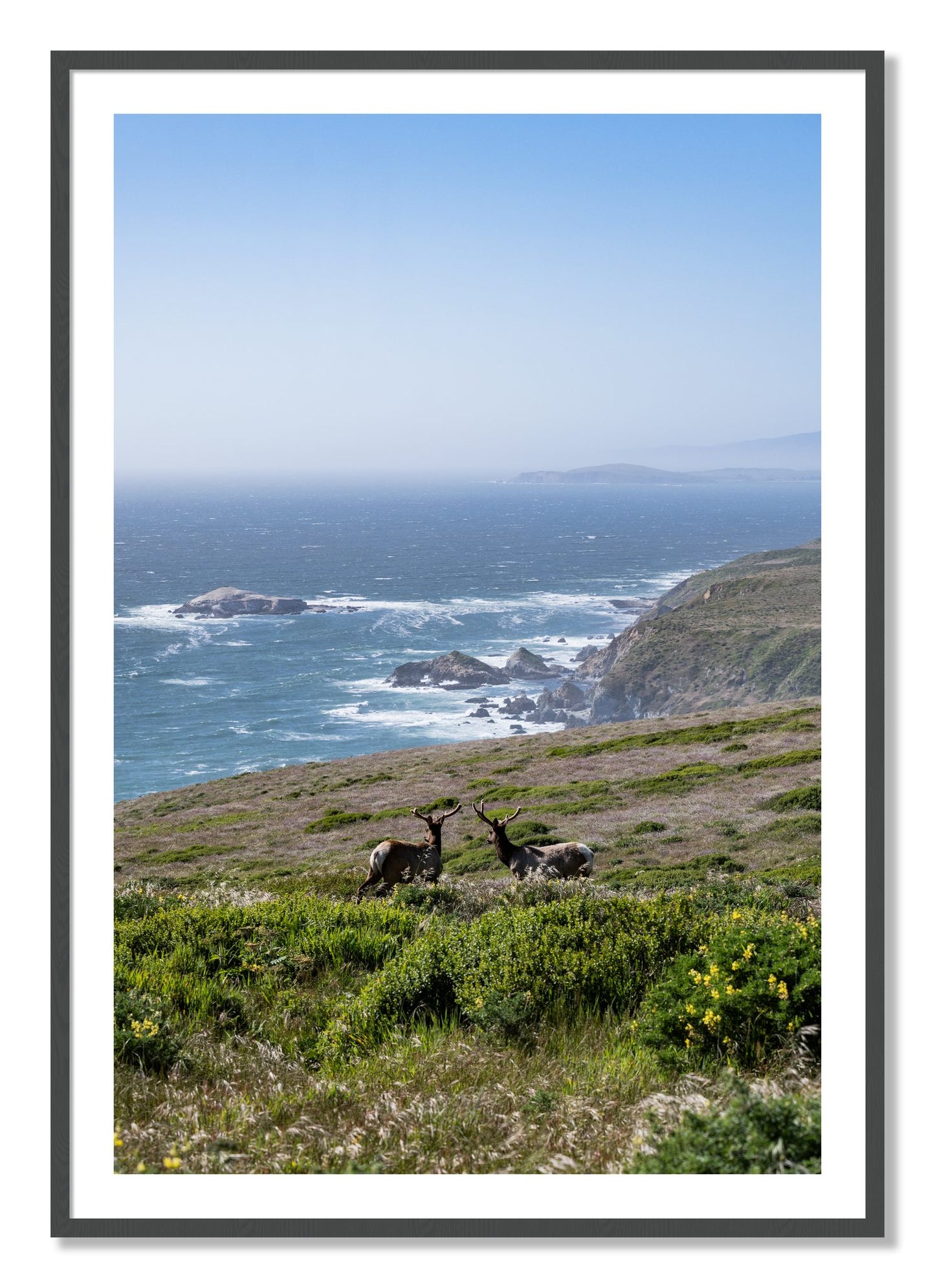 Framed photograph of Elk On The Bluff by Dylan Ozanich, Grey frame, Borders