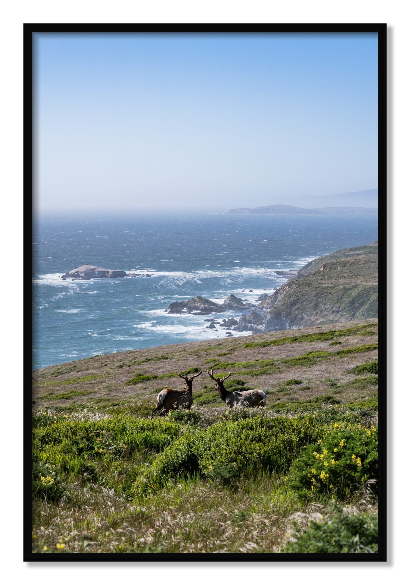 Framed photograph of Elk On The Bluff by Dylan Ozanich, Black frame, Full Bleed