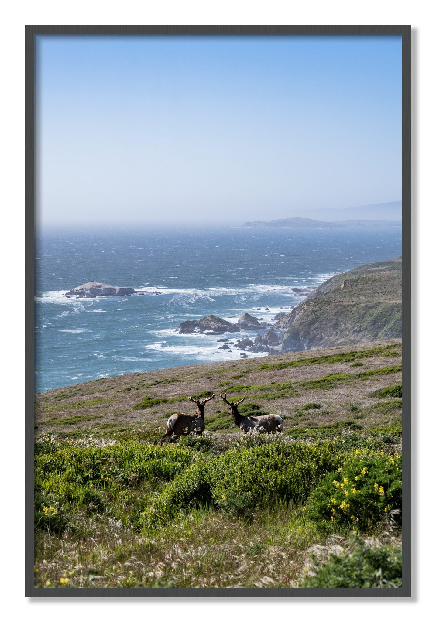 Framed photograph of Elk On The Bluff by Dylan Ozanich, Grey frame, Full Bleed
