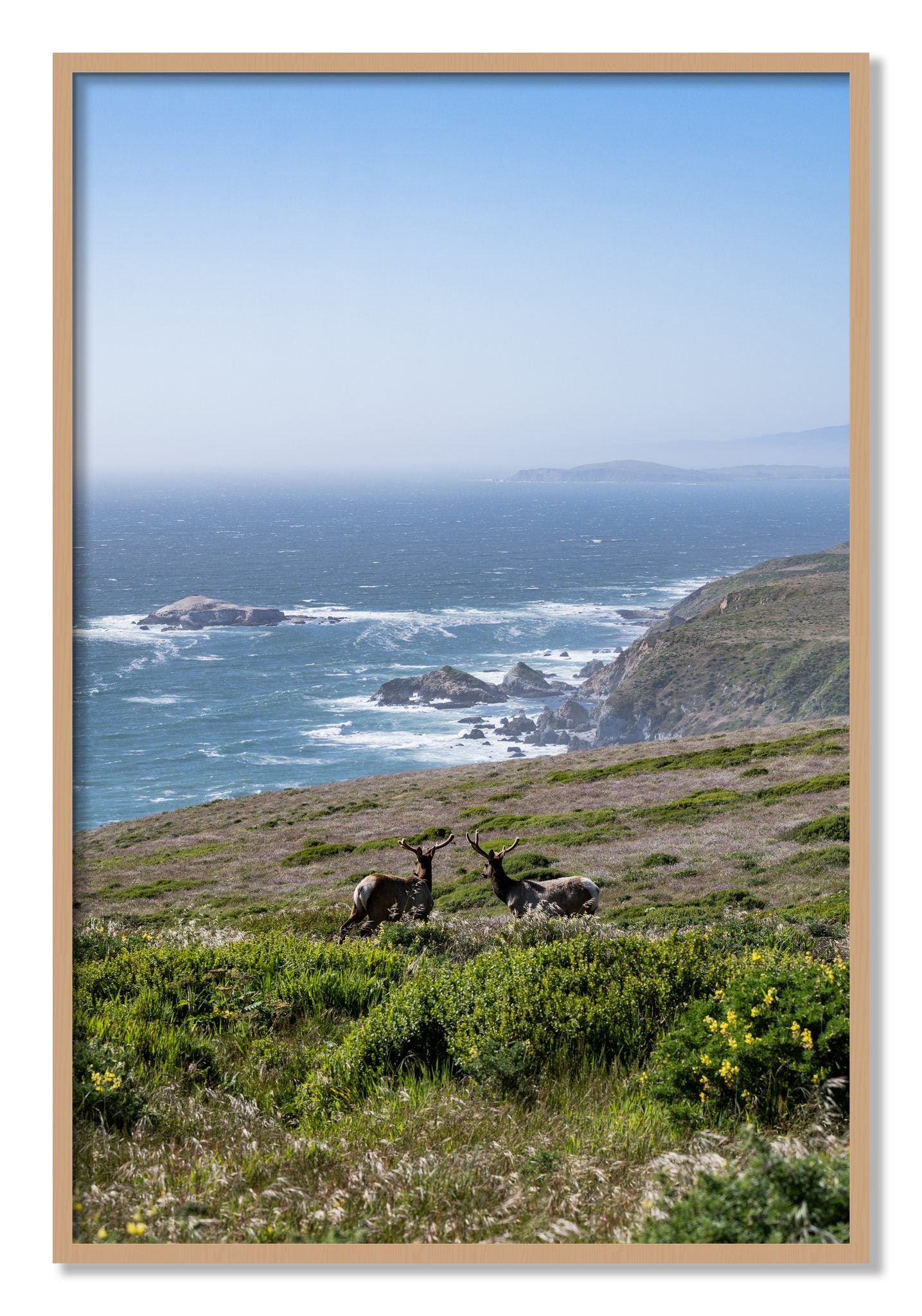 Framed photograph of Elk On The Bluff by Dylan Ozanich, Oak frame, Full Bleed