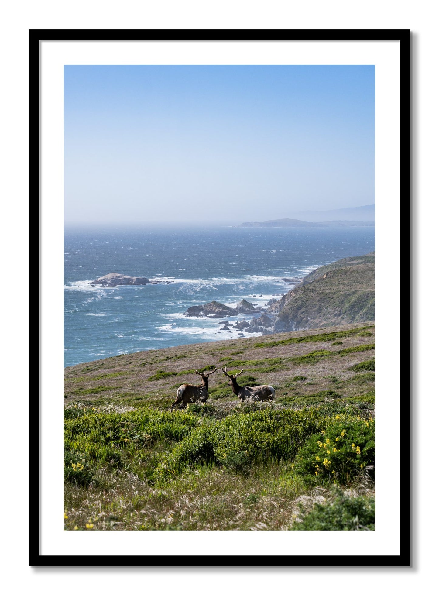 Framed photograph of Elk On The Bluff by Dylan Ozanich, Black frame, Borders