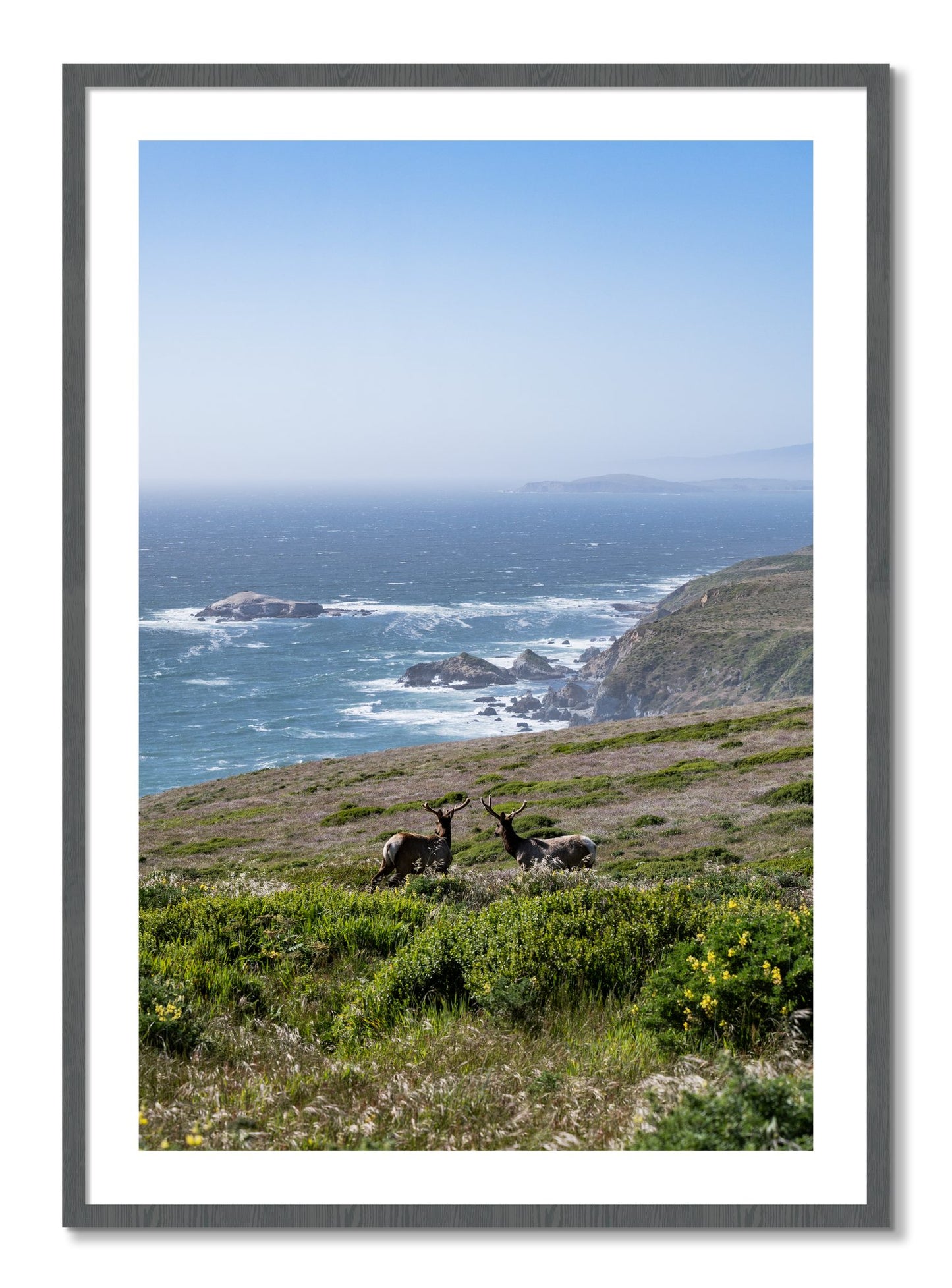Framed photograph of Elk On The Bluff by Dylan Ozanich, Grey frame, Borders
