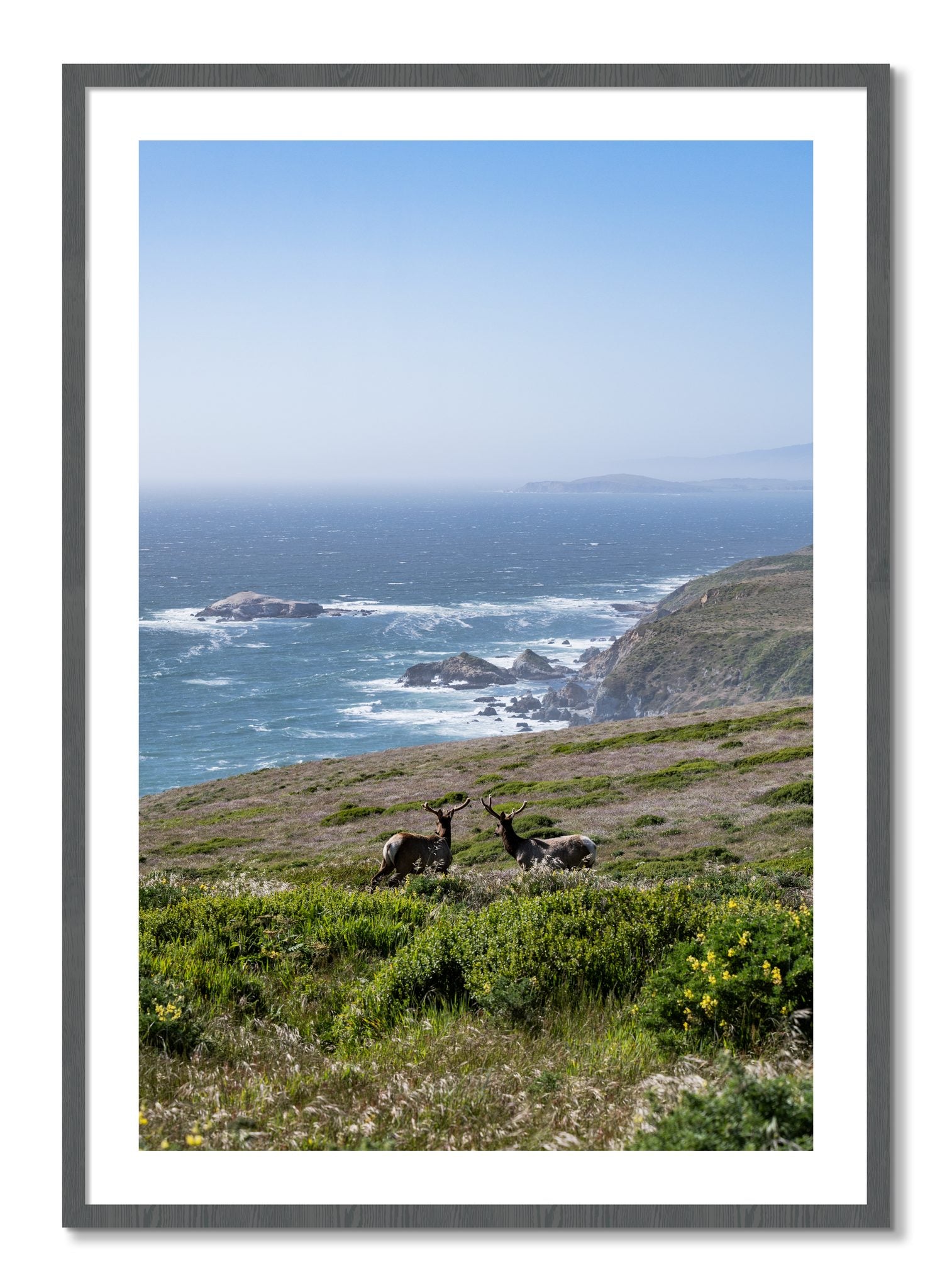 Framed photograph of Elk On The Bluff by Dylan Ozanich, Grey frame, Borders