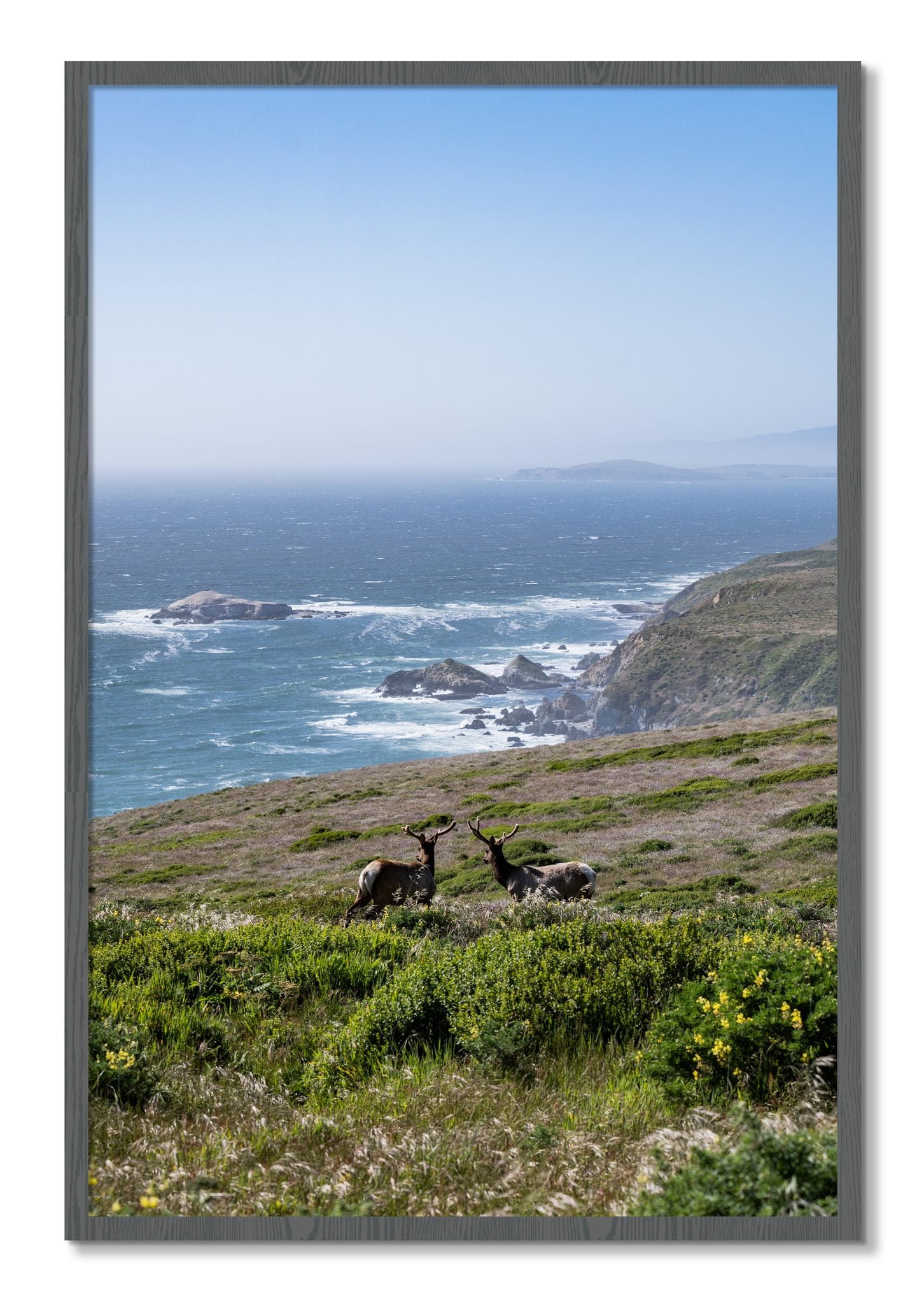 Framed photograph of Elk On The Bluff by Dylan Ozanich, Grey frame, Full Bleed