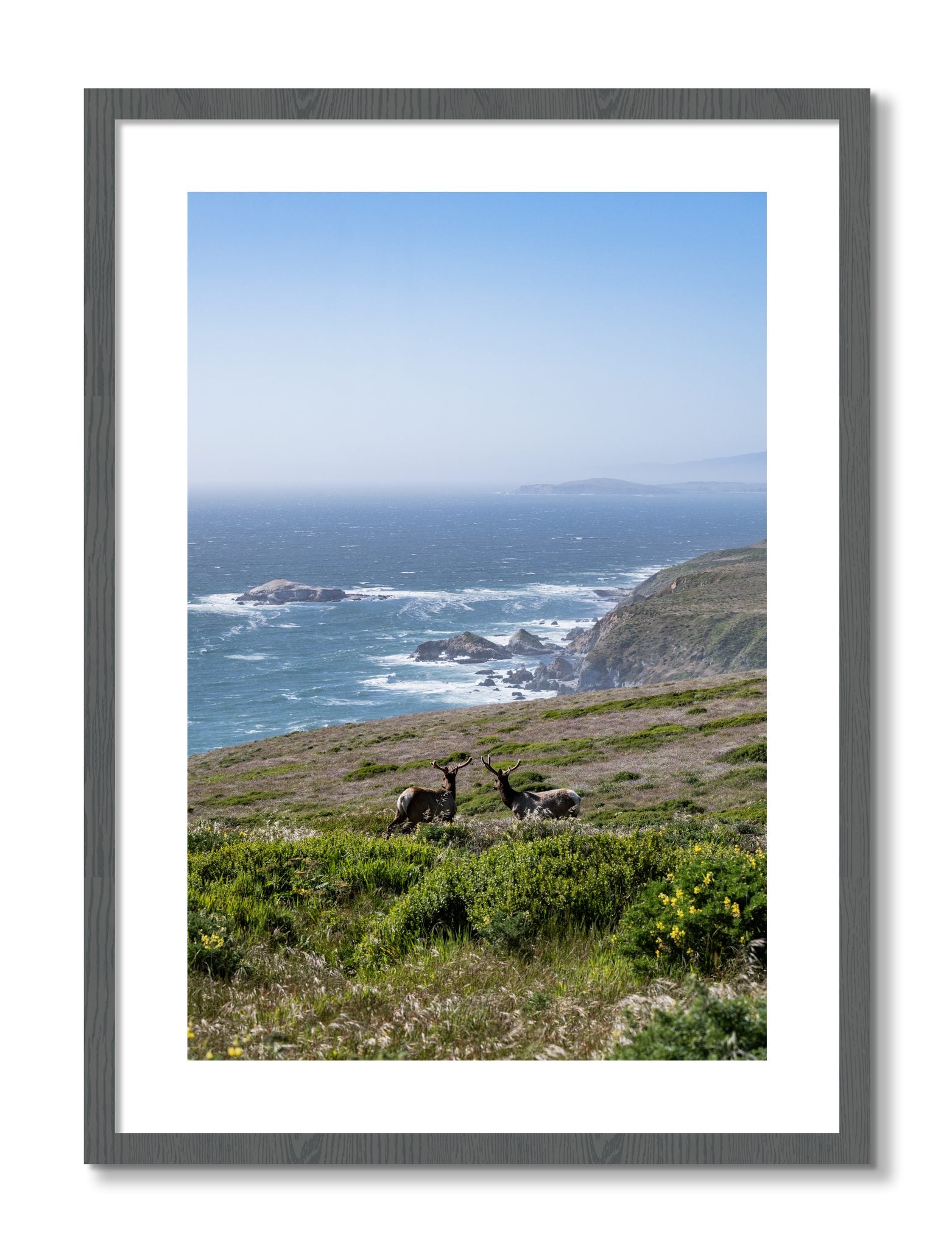Framed photograph of Elk On The Bluff by Dylan Ozanich, Grey frame, Borders