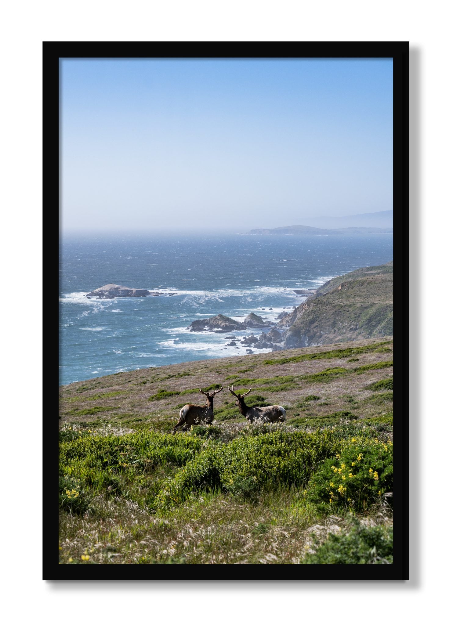 Framed photograph of Elk On The Bluff by Dylan Ozanich, Black frame, Full Bleed