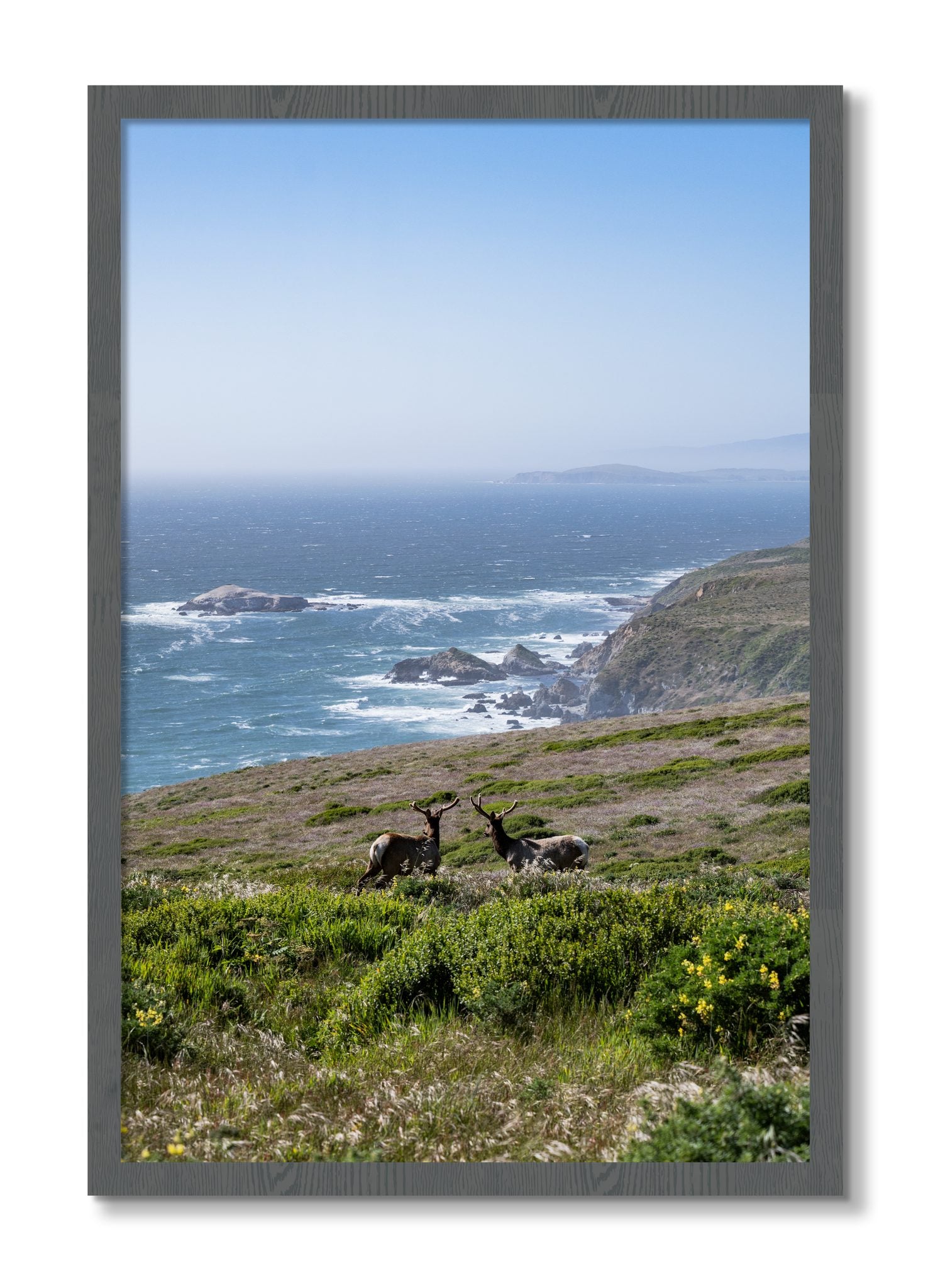 Framed photograph of Elk On The Bluff by Dylan Ozanich, Grey frame, Full Bleed