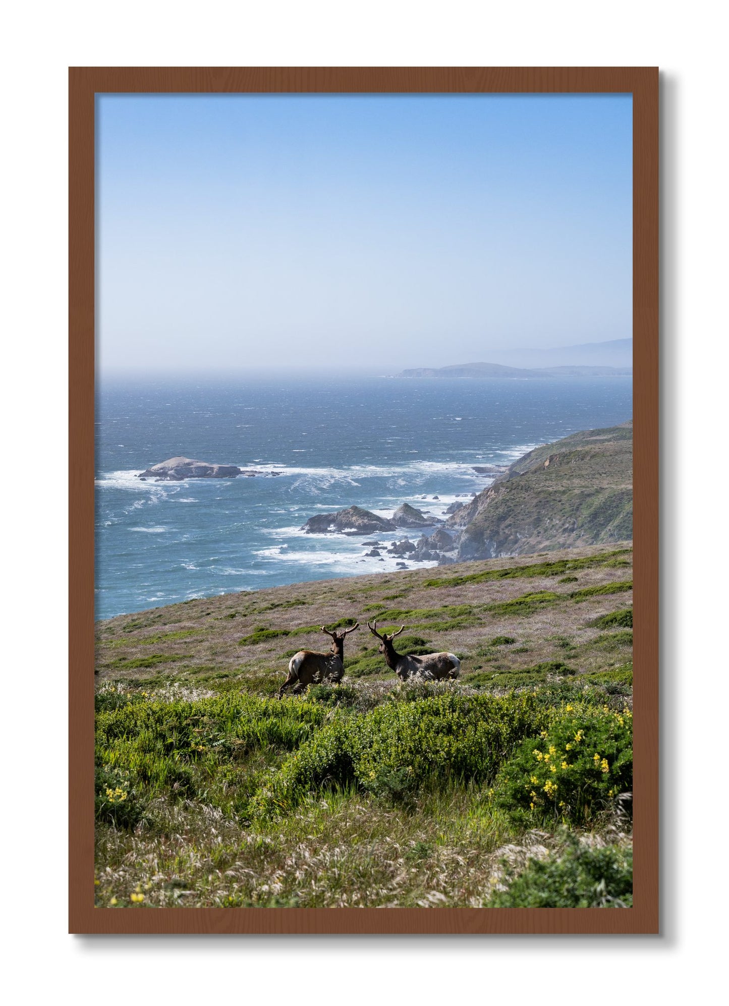 Framed photograph of Elk On The Bluff by Dylan Ozanich, Walnut frame, Full Bleed