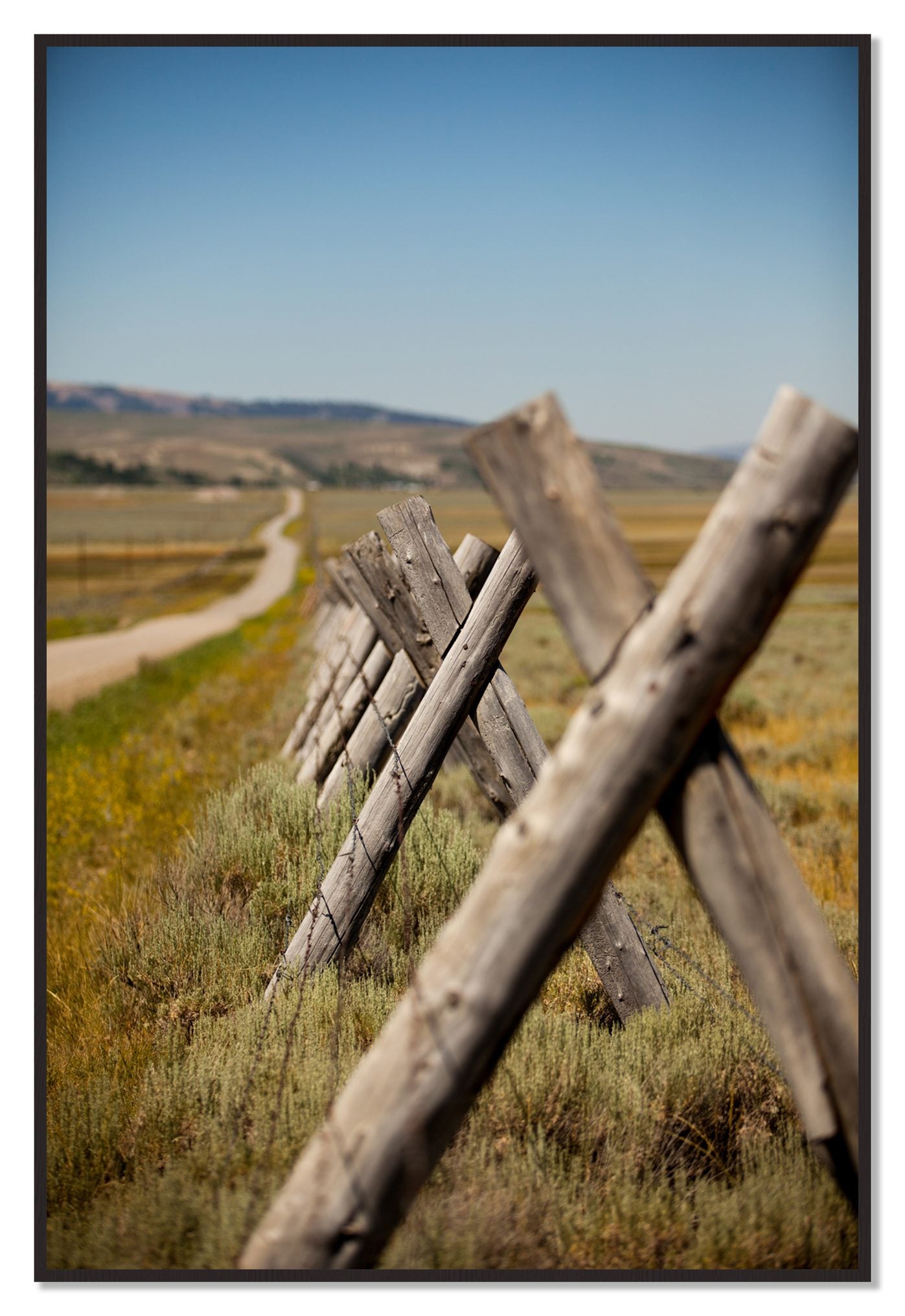 Exit Zero by Dylan Ozanich, 48×72 Full Bleed Print in a Black Walnut frame