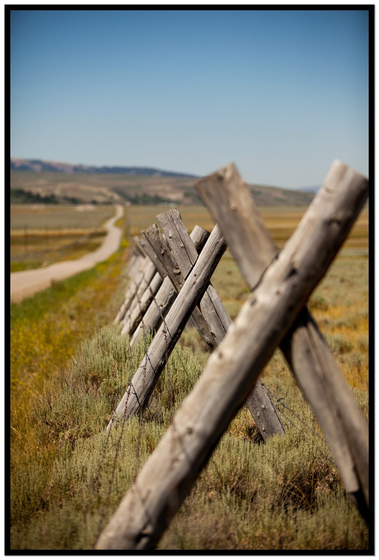 Exit Zero by Dylan Ozanich, 48×72 Full Bleed Print in a Black frame