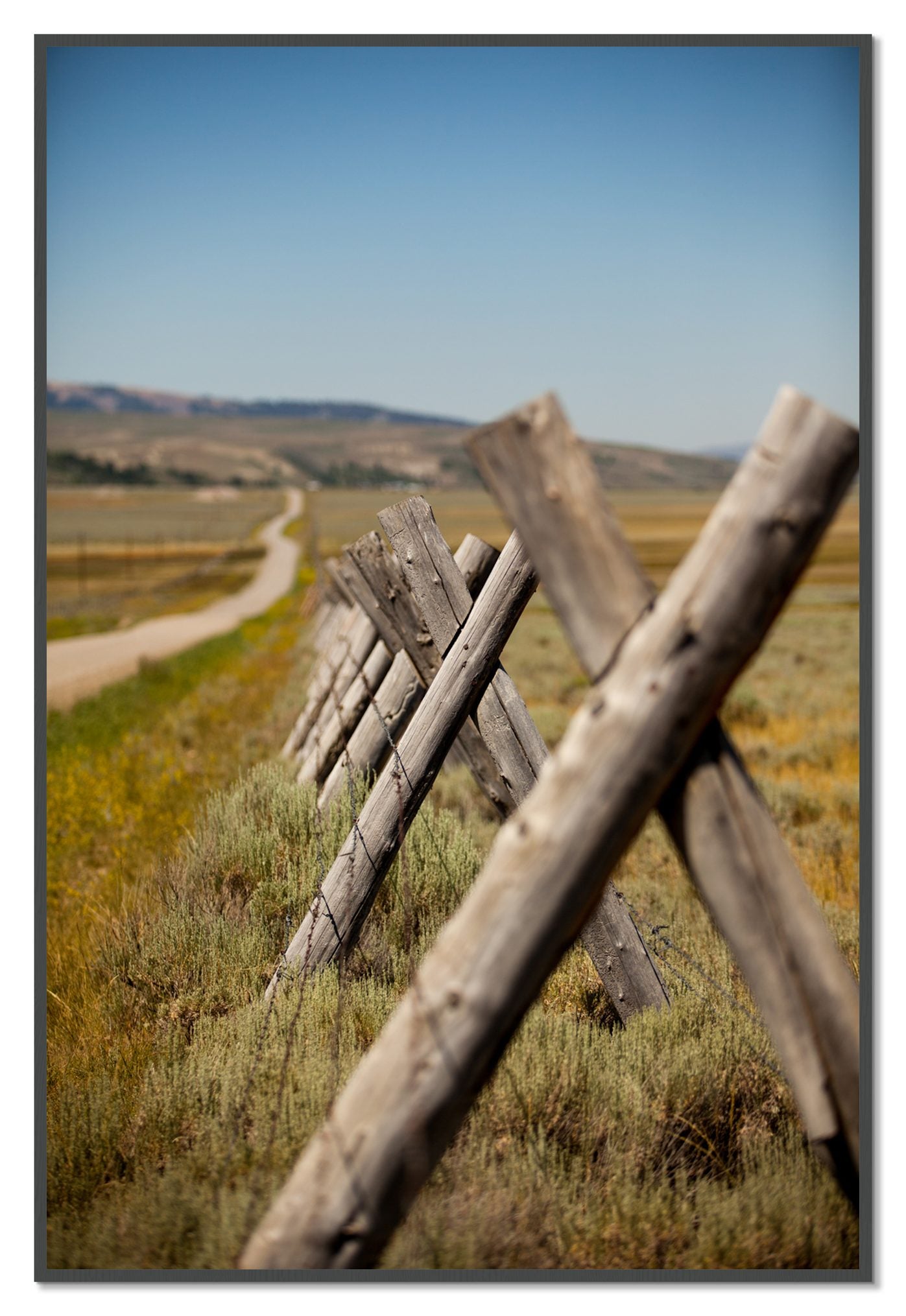 Exit Zero by Dylan Ozanich, 48×72 Full Bleed Print in a Grey frame