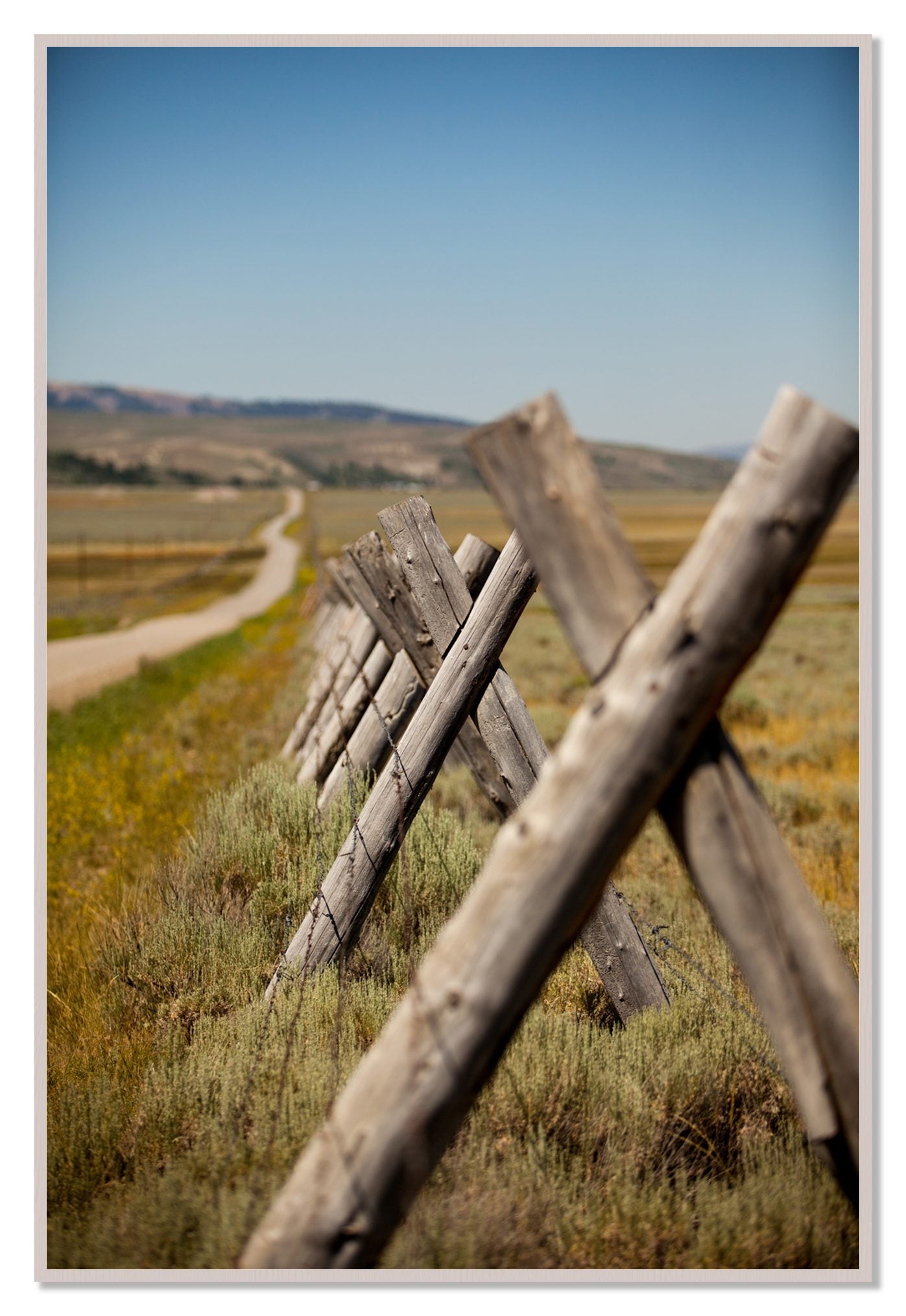 Exit Zero by Dylan Ozanich, 48×72 Full Bleed Print in a White Maple frame