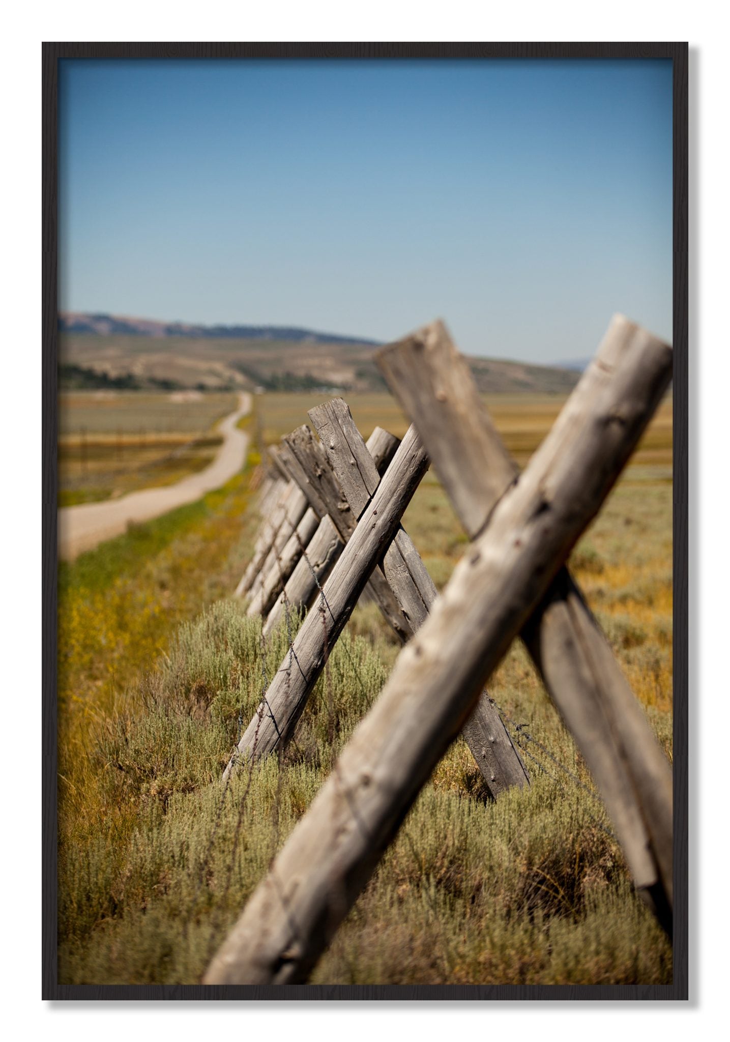 Framed photograph of Exit Zero by Dylan Ozanich, Black Walnut frame, Full Bleed