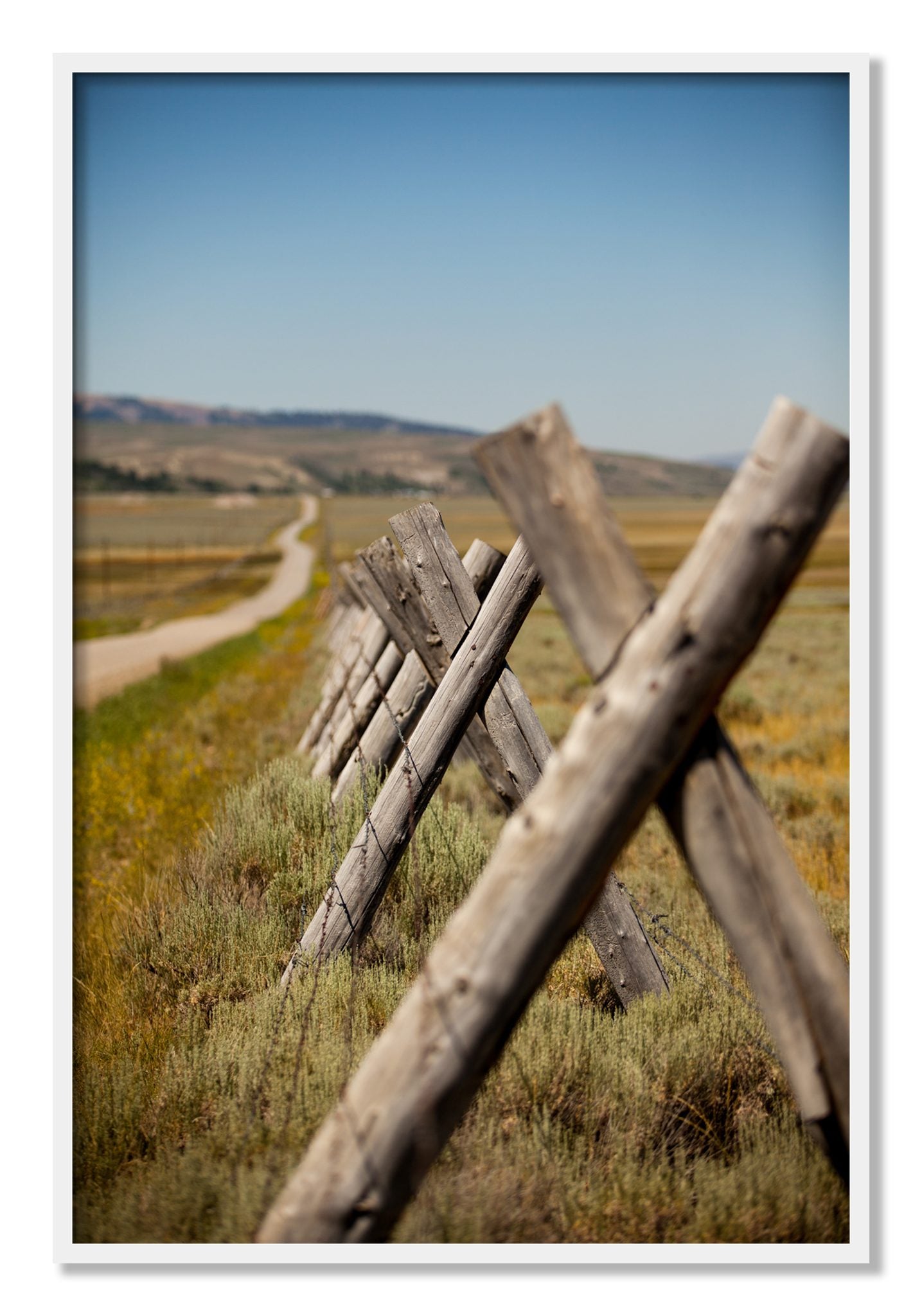 Framed photograph of Exit Zero by Dylan Ozanich, White frame, Full Bleed