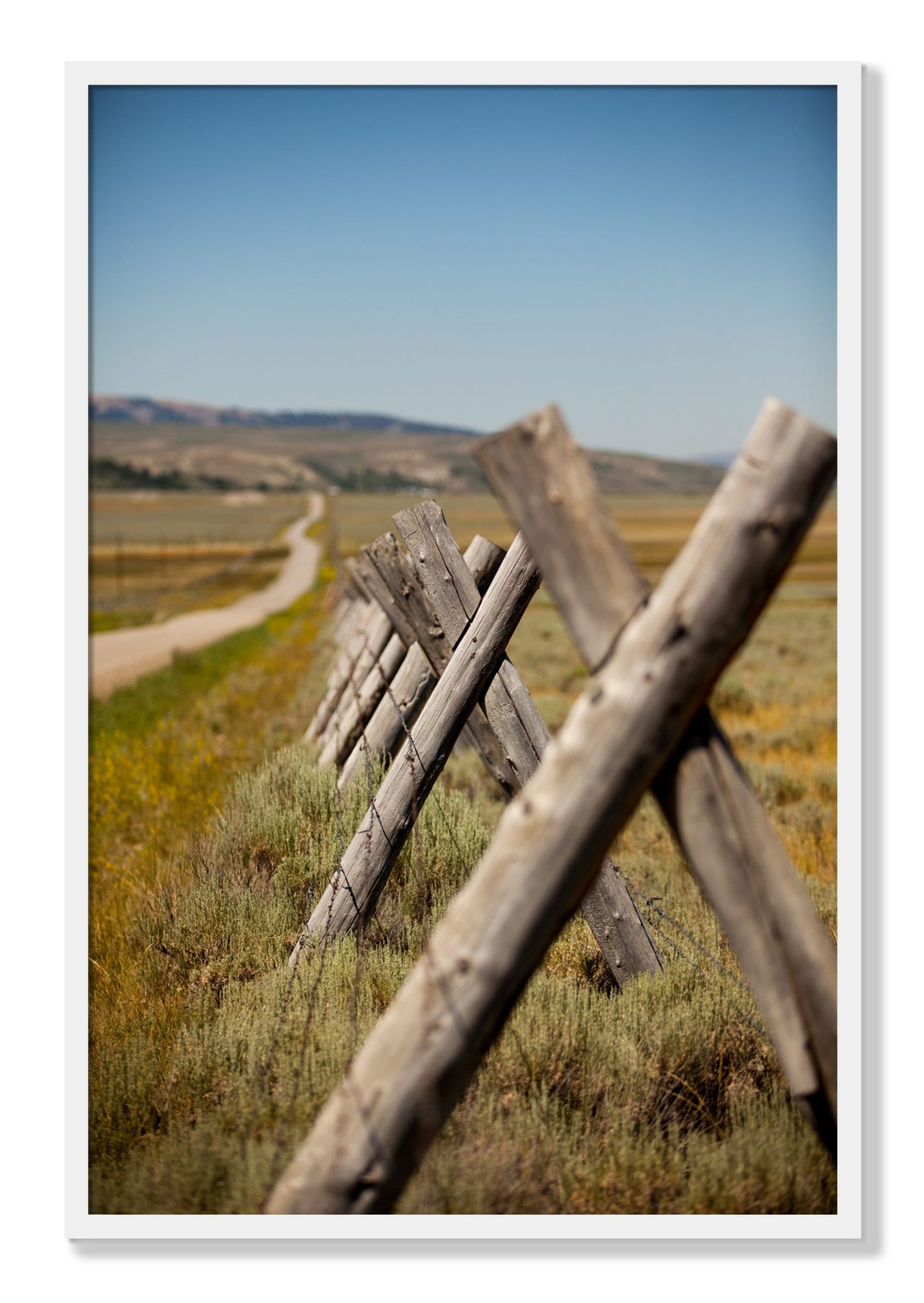 Framed photograph of Exit Zero by Dylan Ozanich, White frame, Full Bleed