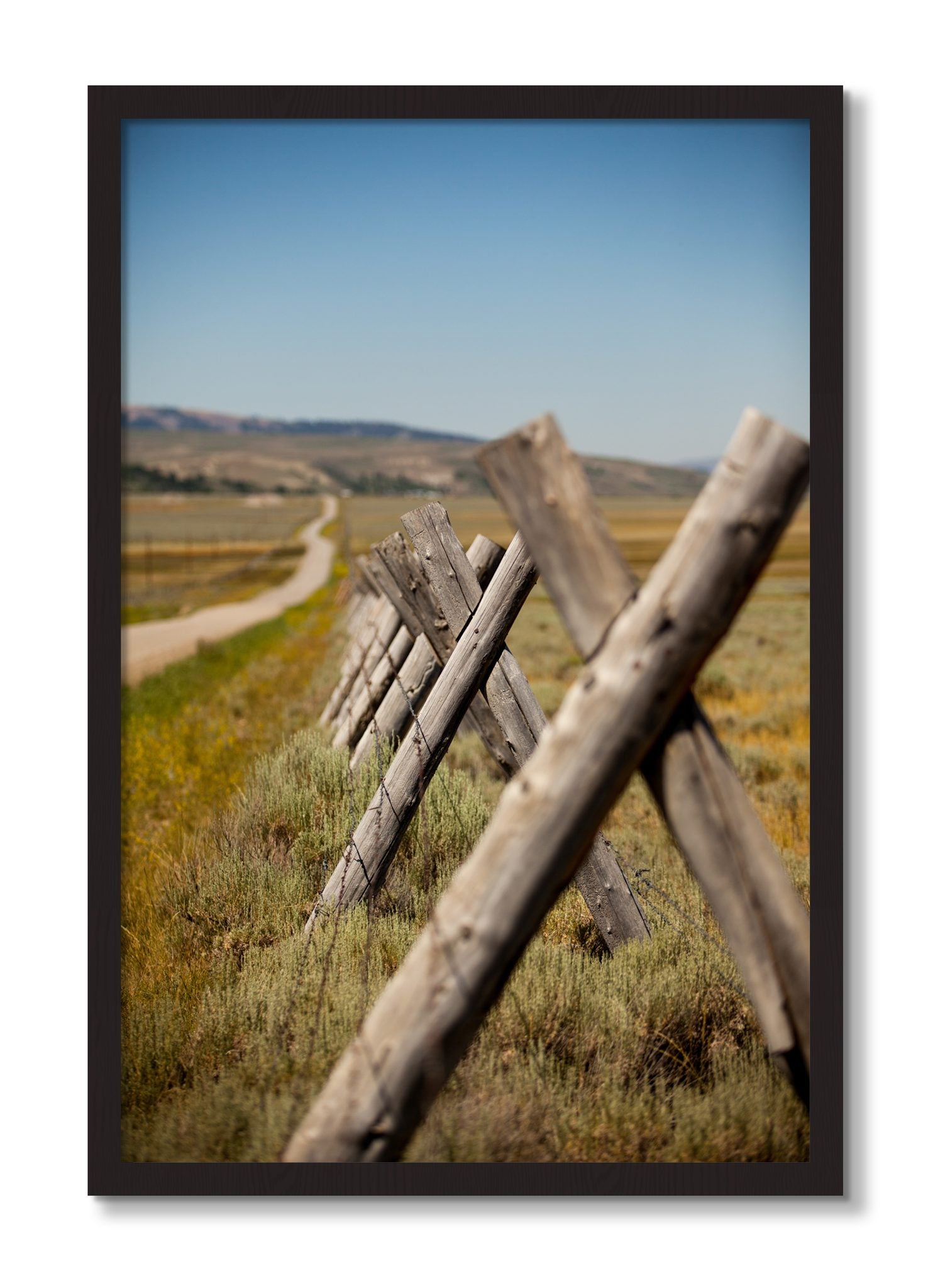 Framed photograph of Exit Zero by Dylan Ozanich, Black Walnut frame, Full Bleed