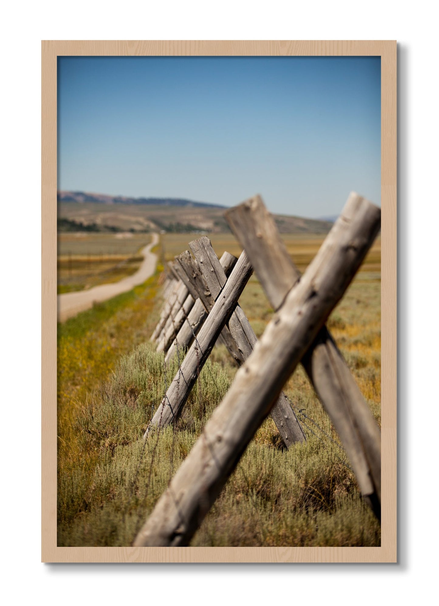 Framed photograph of Exit Zero by Dylan Ozanich, Oak frame, Full Bleed
