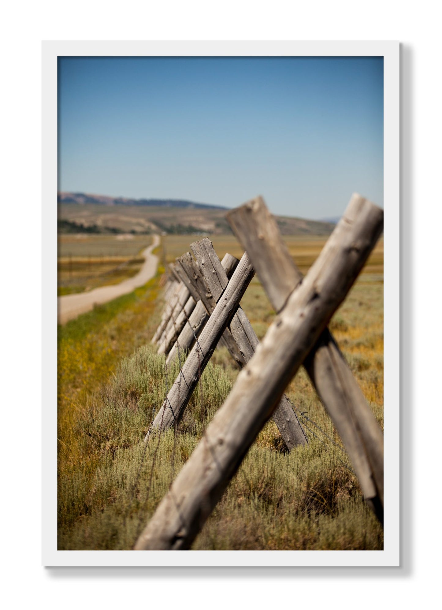 Framed photograph of Exit Zero by Dylan Ozanich, White frame, Full Bleed