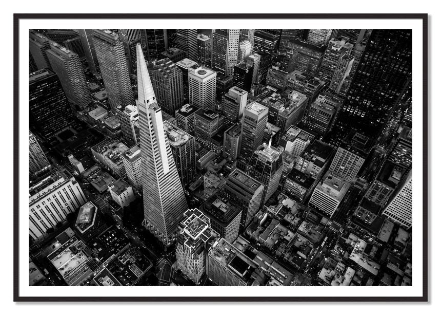 First Impressions by Dylan Ozanich, 48×72 print with a White Border in a Black Walnut frame