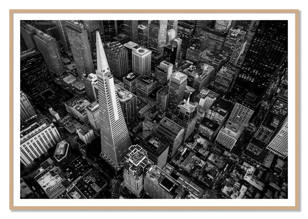 First Impressions by Dylan Ozanich, 48×72 print with a White Border in an Oak frame