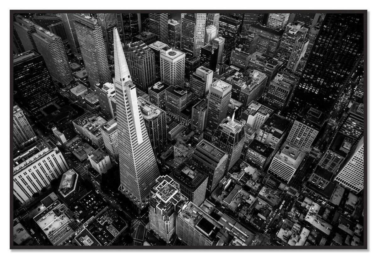 First Impressions by Dylan Ozanich, 48×72 Full Bleed Print in a Black Walnut frame