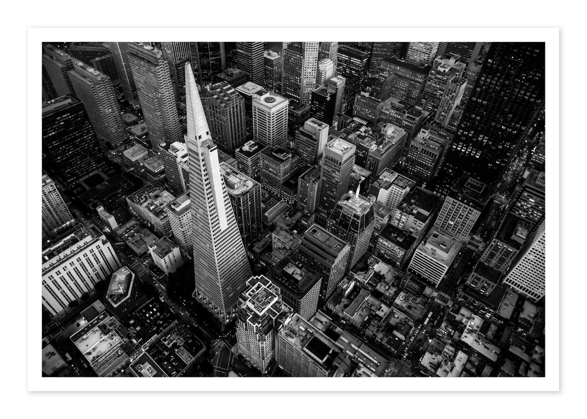 First Impressions by Dylan Ozanich, 48×72 Fine Art Pigment Print on Hahnemühle Cotton Rag Paper, unframed