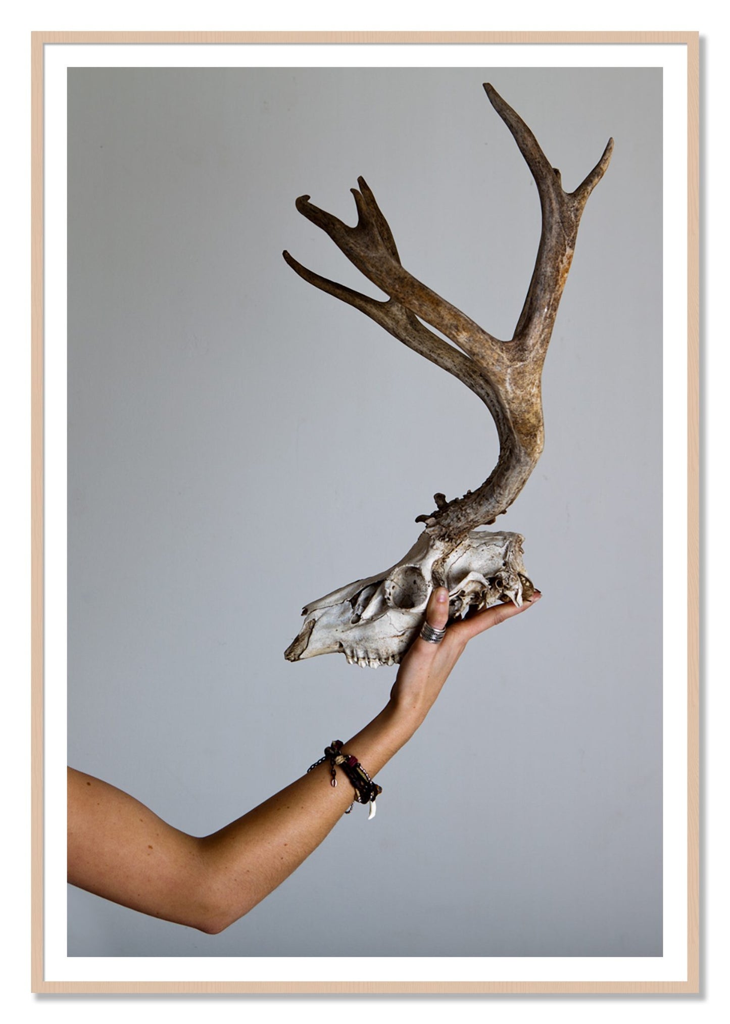 First Kill by Dylan Ozanich, 48×72 print with a White Border in a Maple frame