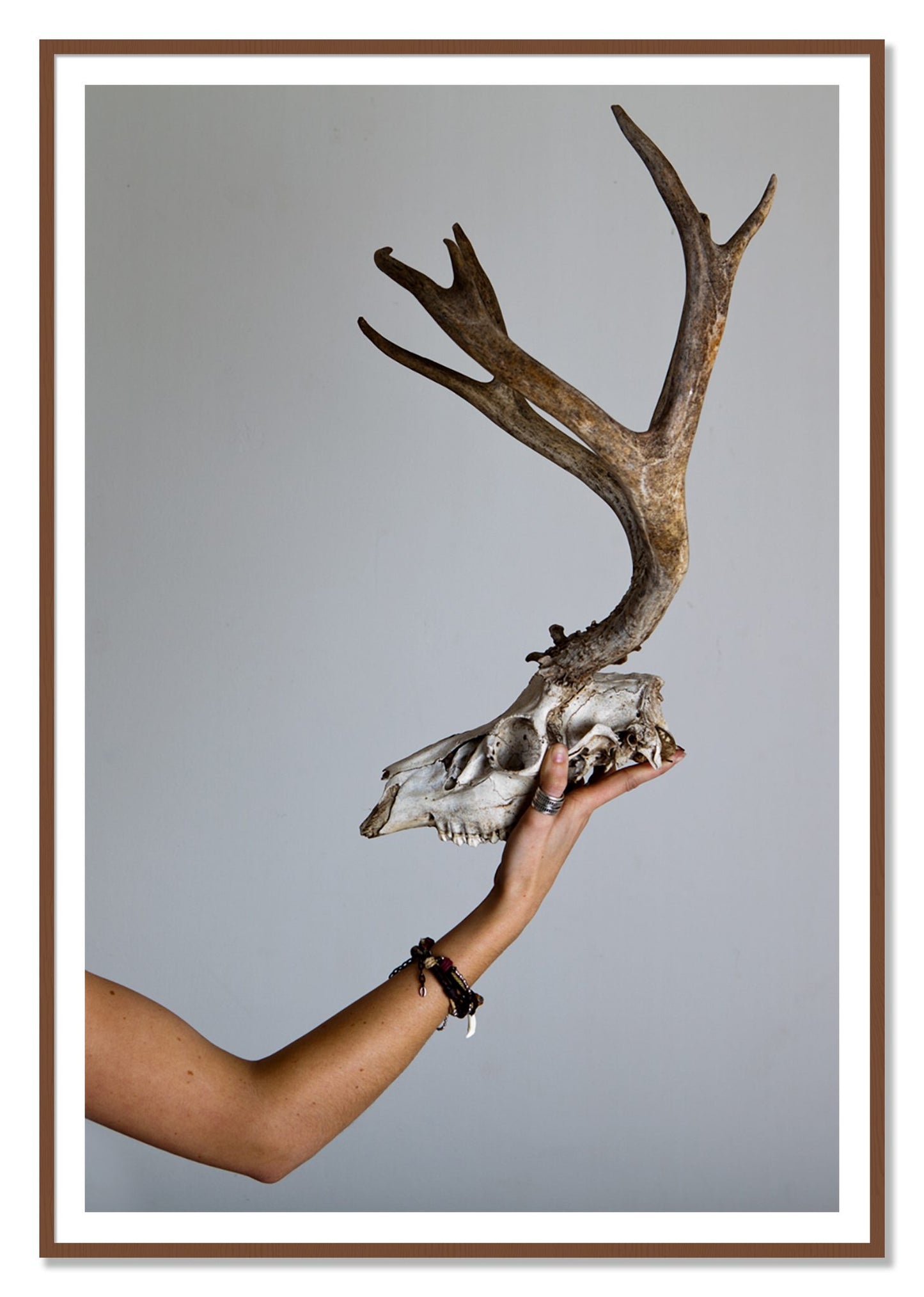 First Kill by Dylan Ozanich, 48×72 print with a White Border in a Walnut frame