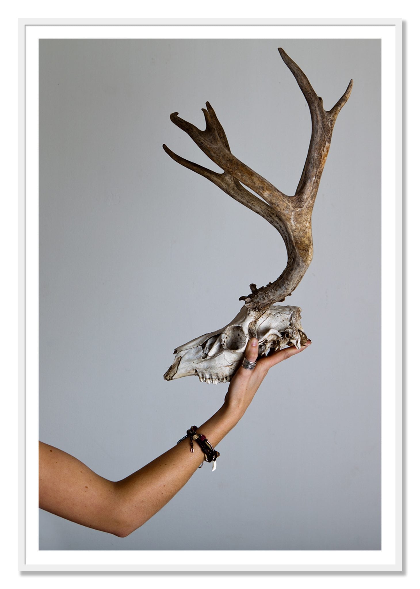 First Kill by Dylan Ozanich, 48×72 print with a White Border in a White frame