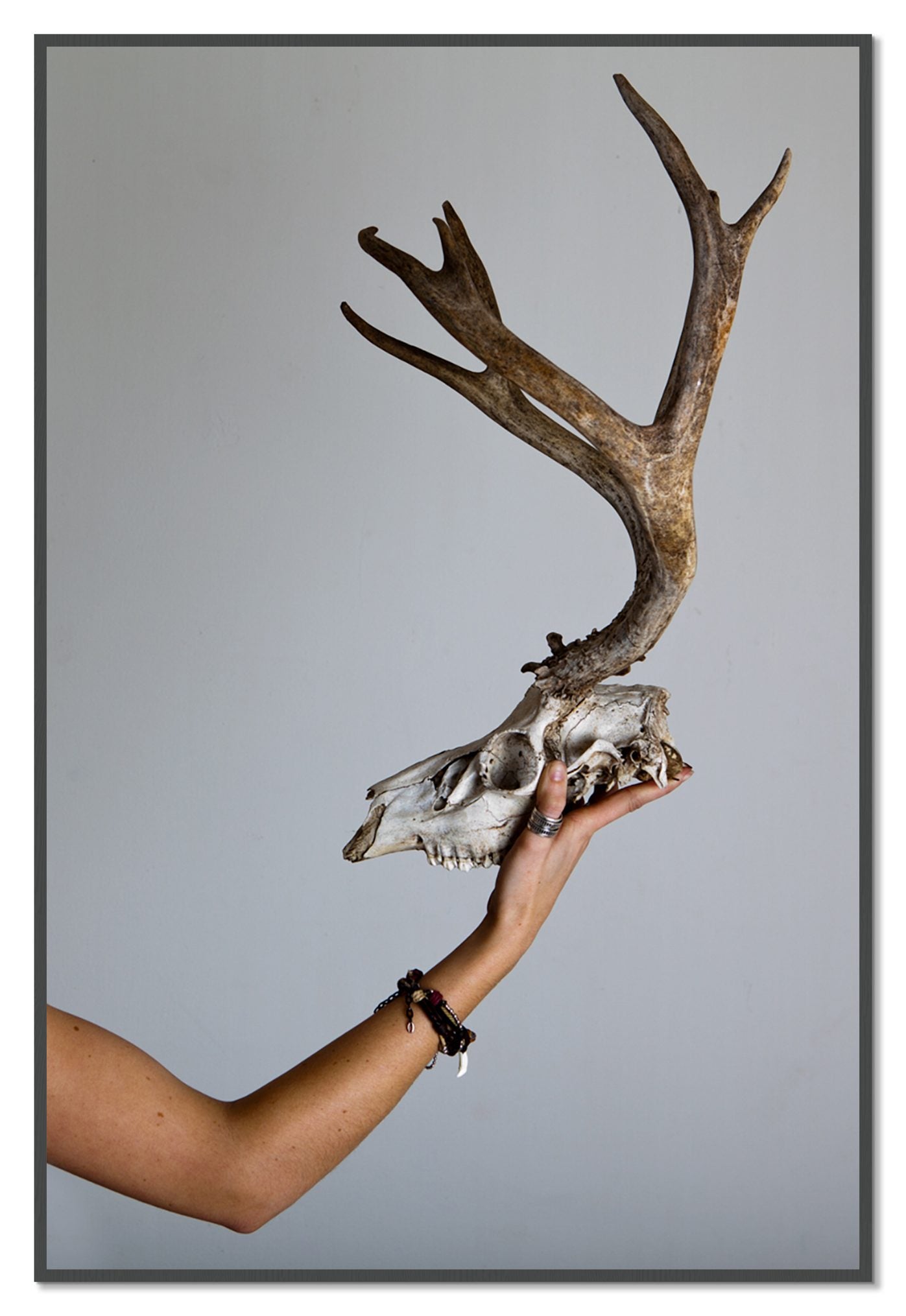 First Kill by Dylan Ozanich, 48×72 Full Bleed Print in a Grey frame
