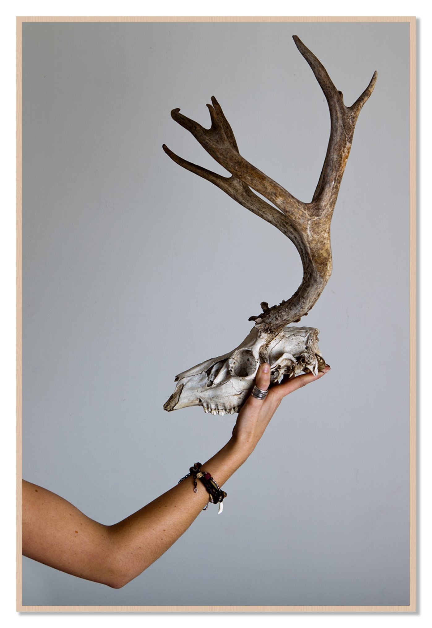 First Kill by Dylan Ozanich, 48×72 Full Bleed Print in a Maple frame