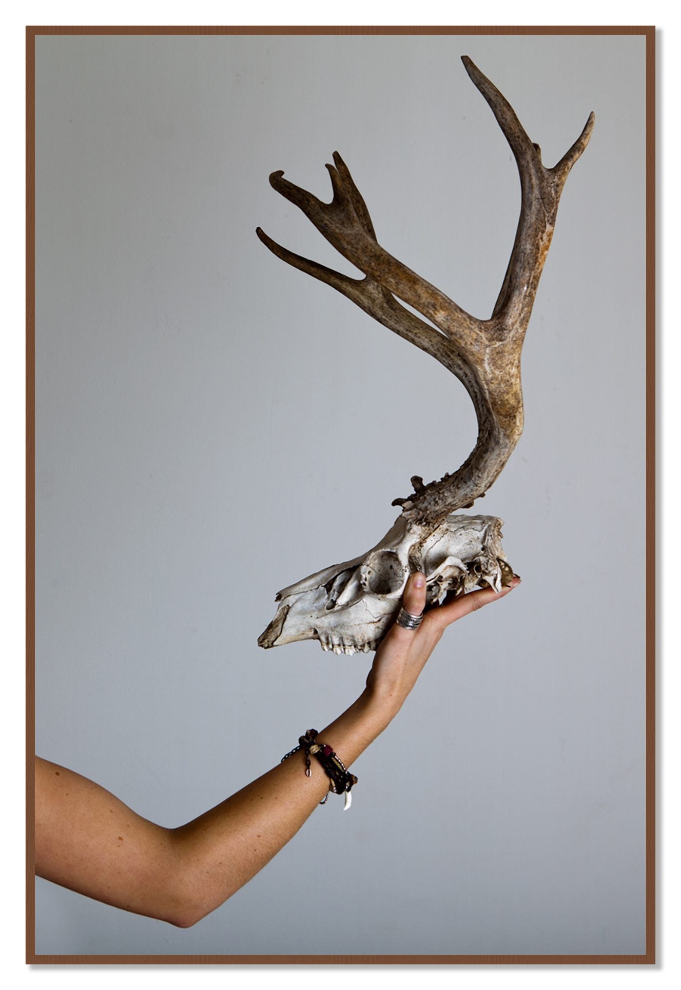 First Kill by Dylan Ozanich, 48×72 Full Bleed Print in a Walnut frame
