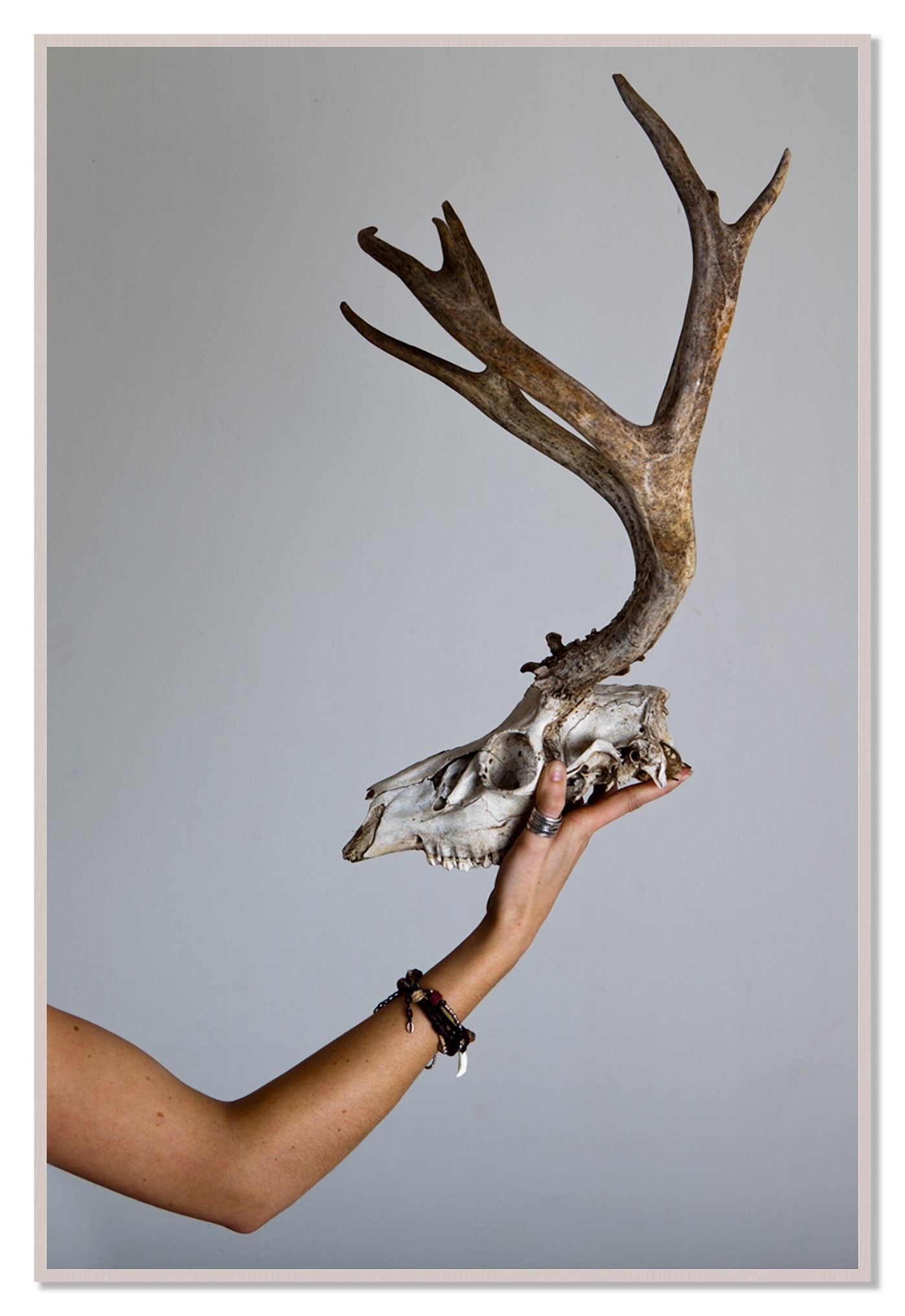 First Kill by Dylan Ozanich, 48×72 Full Bleed Print in a White Maple frame