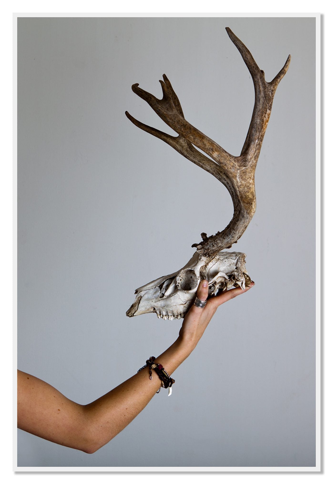 First Kill by Dylan Ozanich, 48×72 Full Bleed Print in a White frame