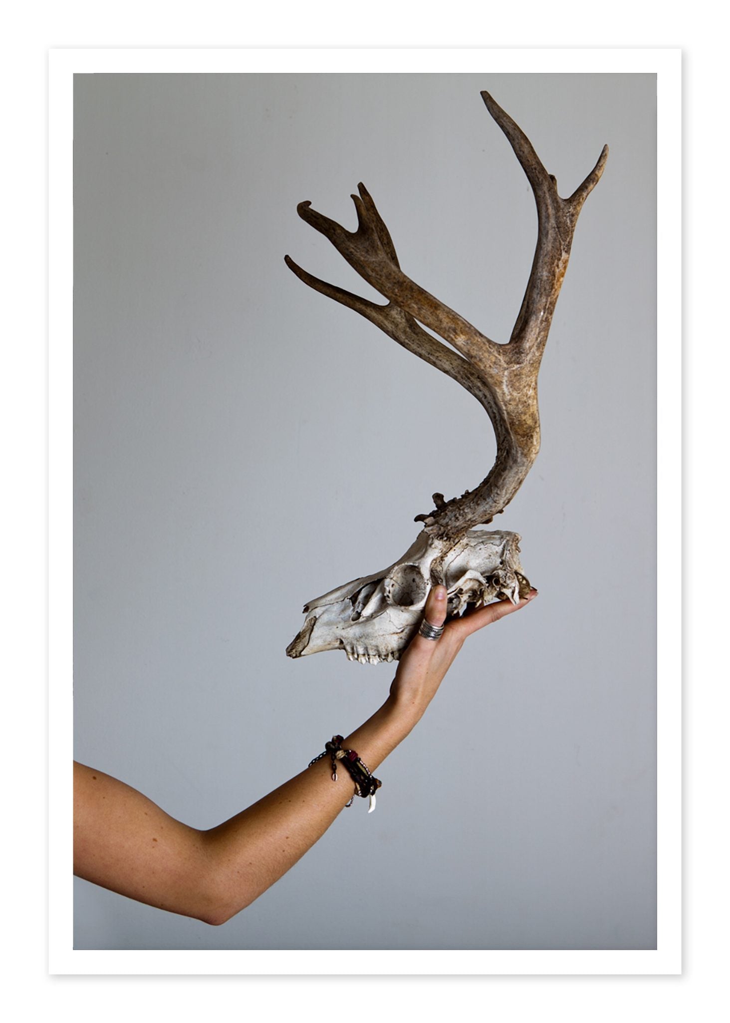 First Kill by Dylan Ozanich, 48×72 Fine Art Pigment Print on Hahnemühle Cotton Rag Paper, unframed