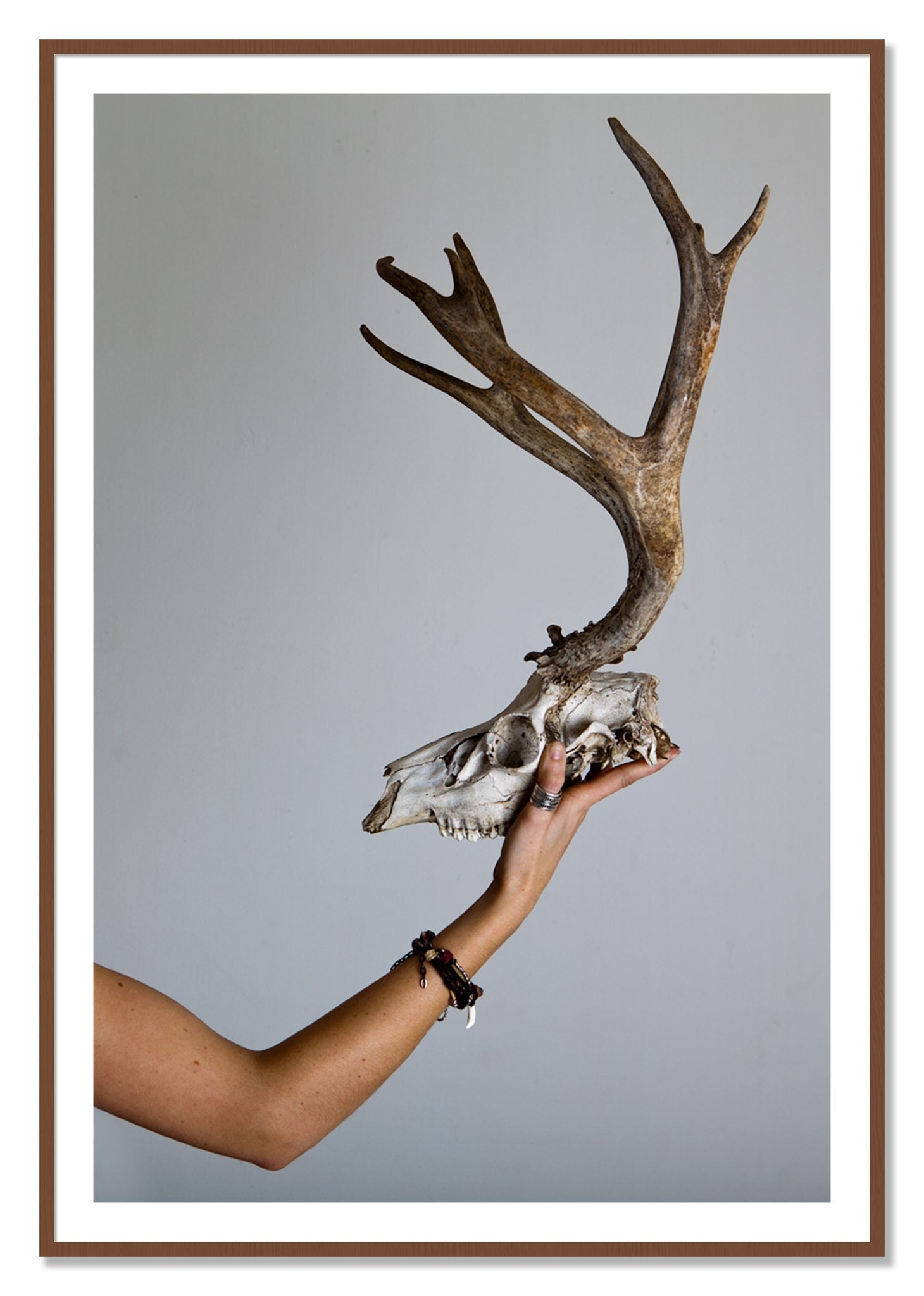 Framed photograph of First Kill by Dylan Ozanich, Walnut frame, Borders