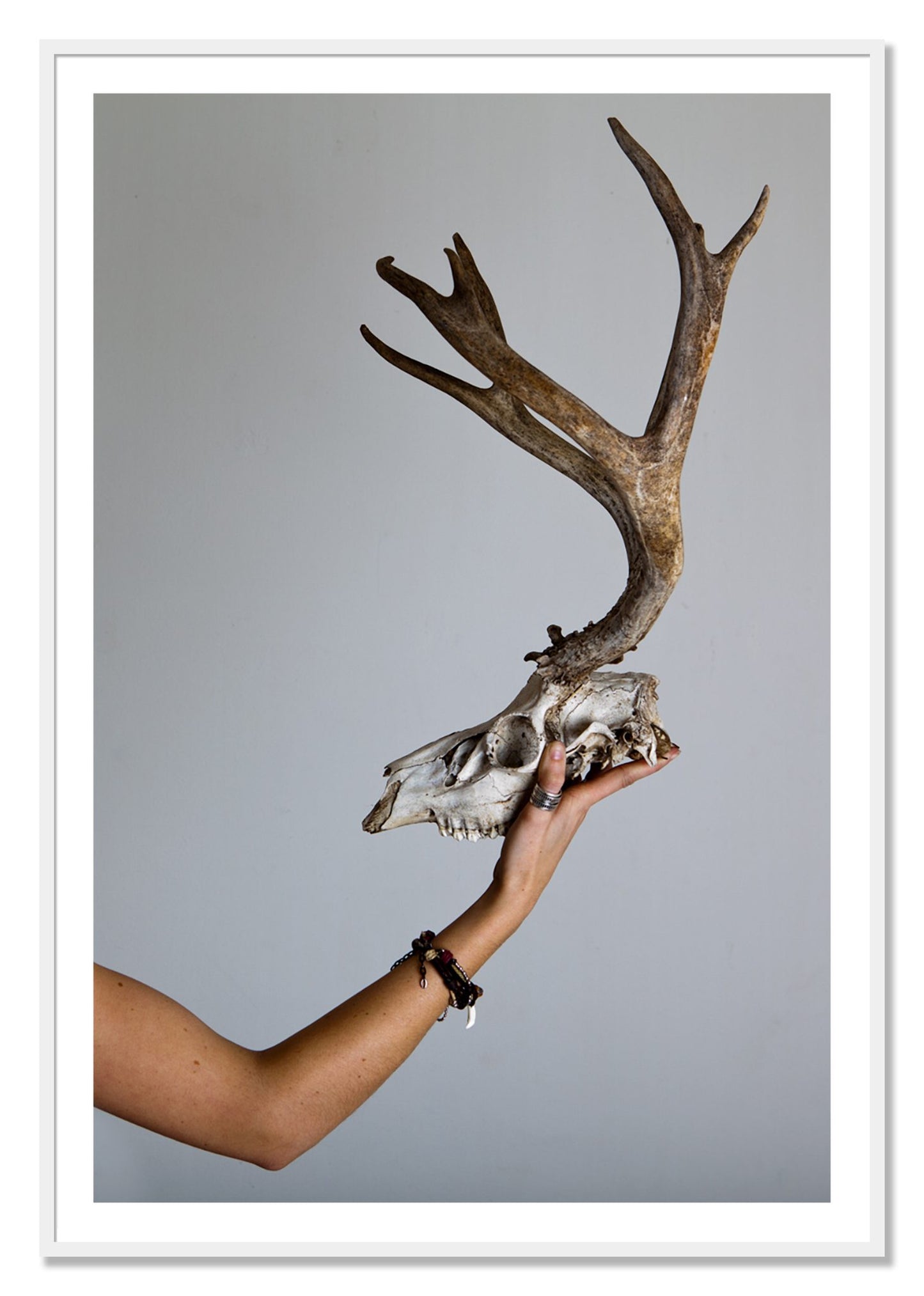 Framed photograph of First Kill by Dylan Ozanich, White frame, Borders