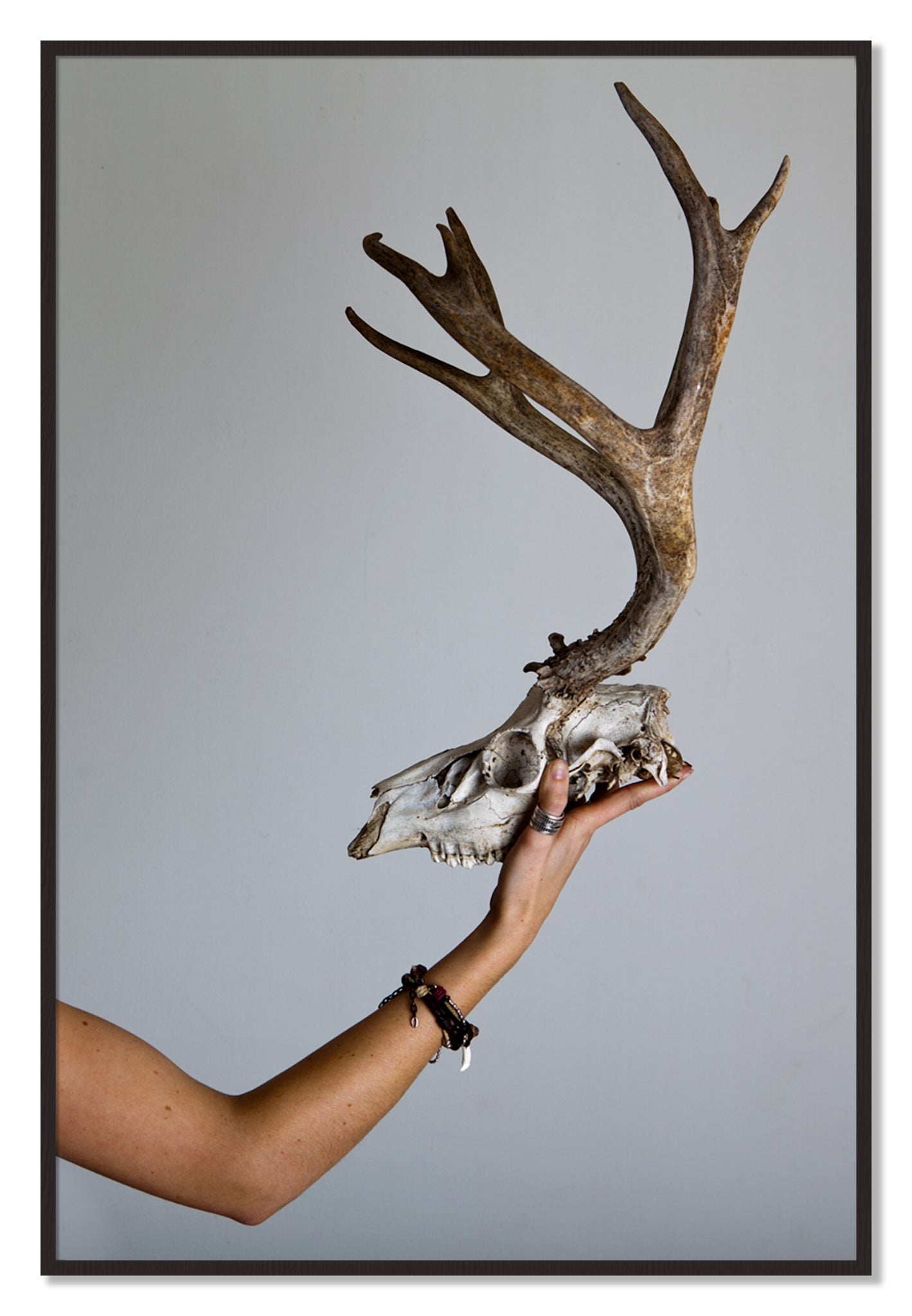 Framed photograph of First Kill by Dylan Ozanich, Black Walnut frame, Full Bleed