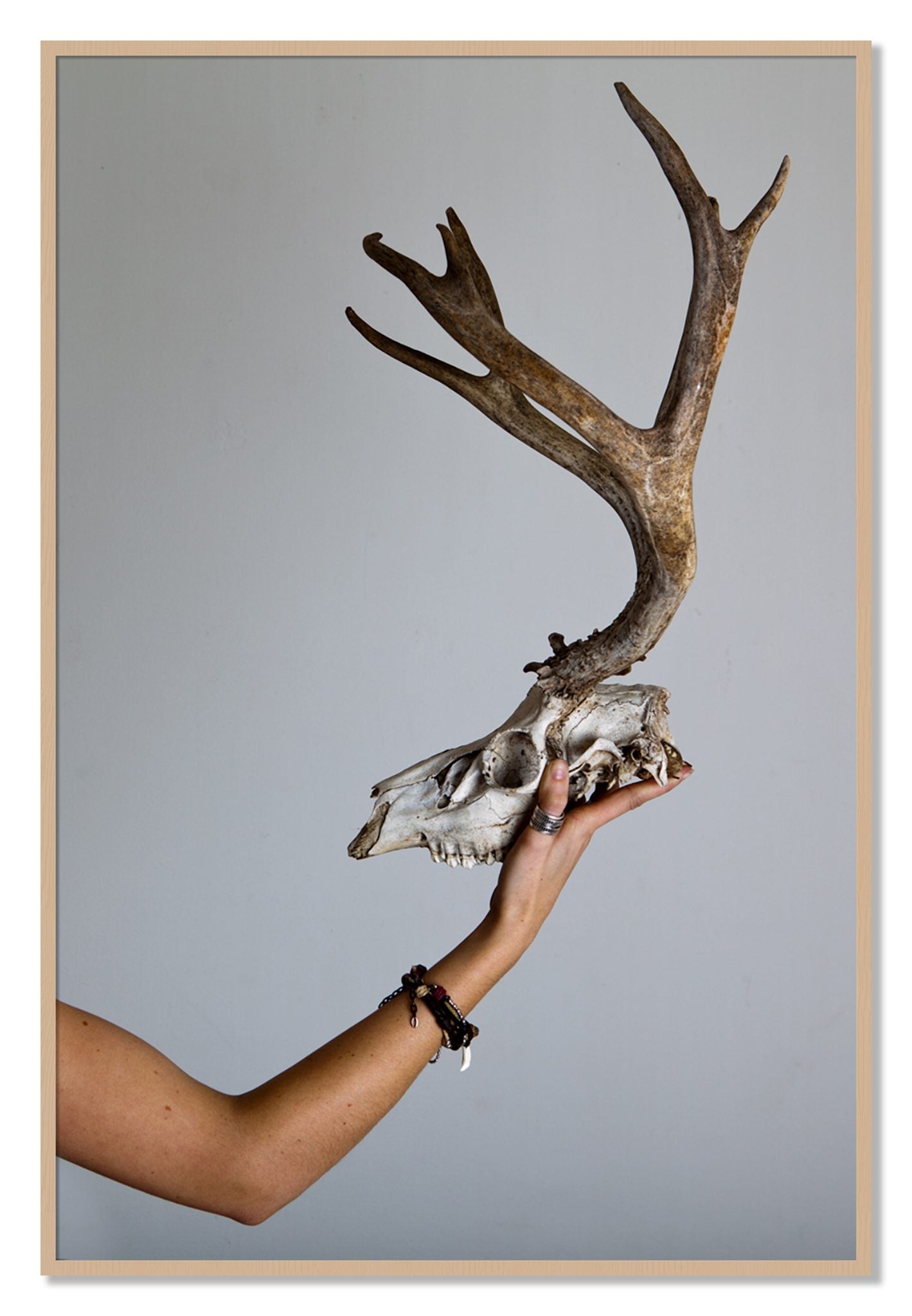 Framed photograph of First Kill by Dylan Ozanich, Oak frame, Full Bleed